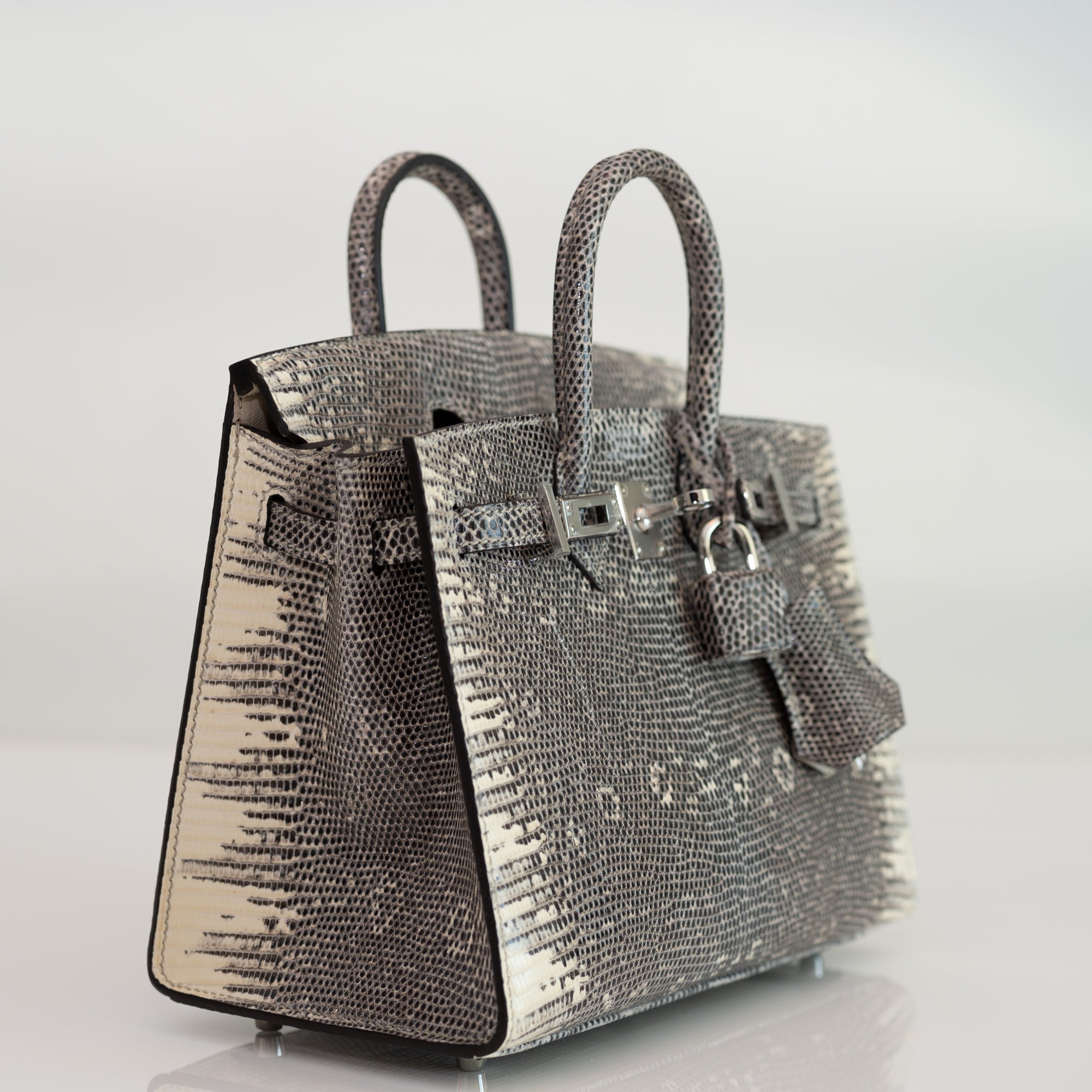 Hermès Birkin 20 Sellier Ombré Varanus Salvator Lizard Palladium Hardware