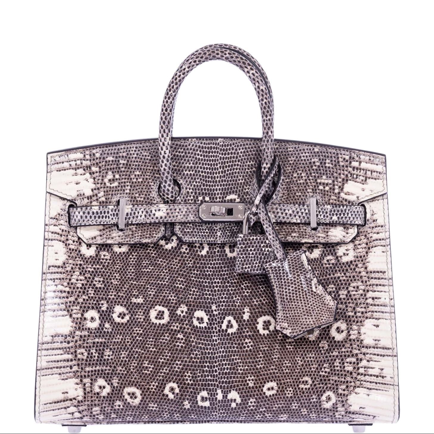 Hermès Birkin 20 Sellier Ombré Varanus Salvator Lizard Palladium Hardware