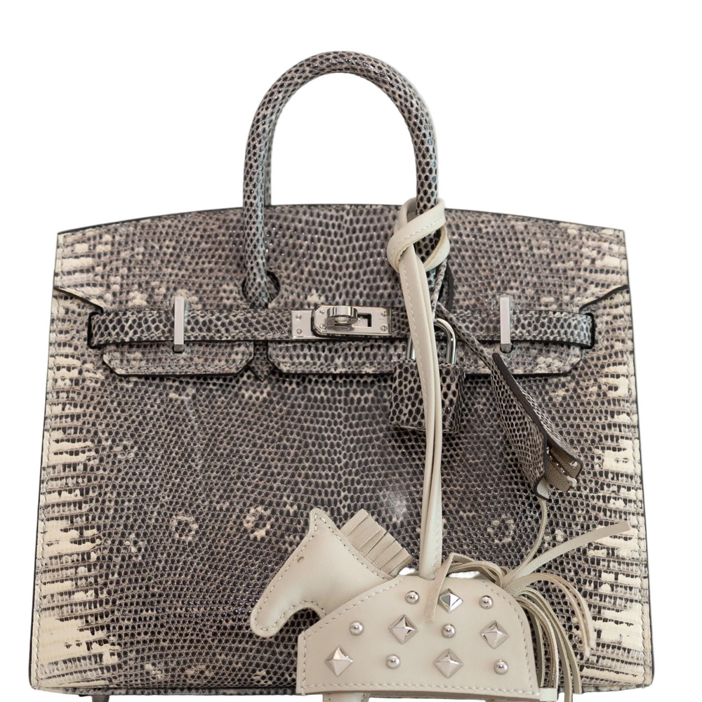 Hermès Birkin 20 Sellier Ombré Varanus Salvator Lizard Palladium Hardware