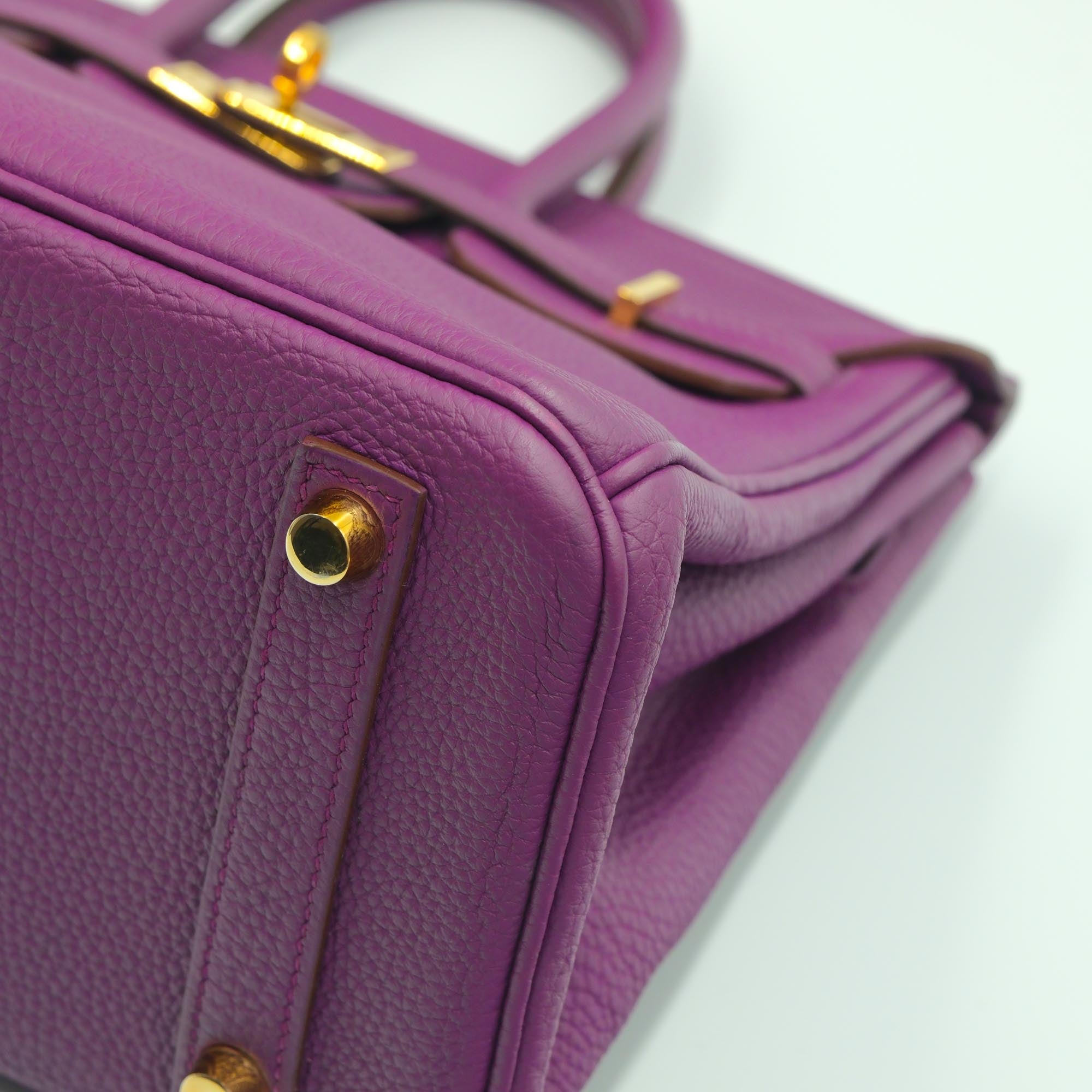 Hermès Birkin 25 Anemone Togo with Gold Hardware | JANEFINDS