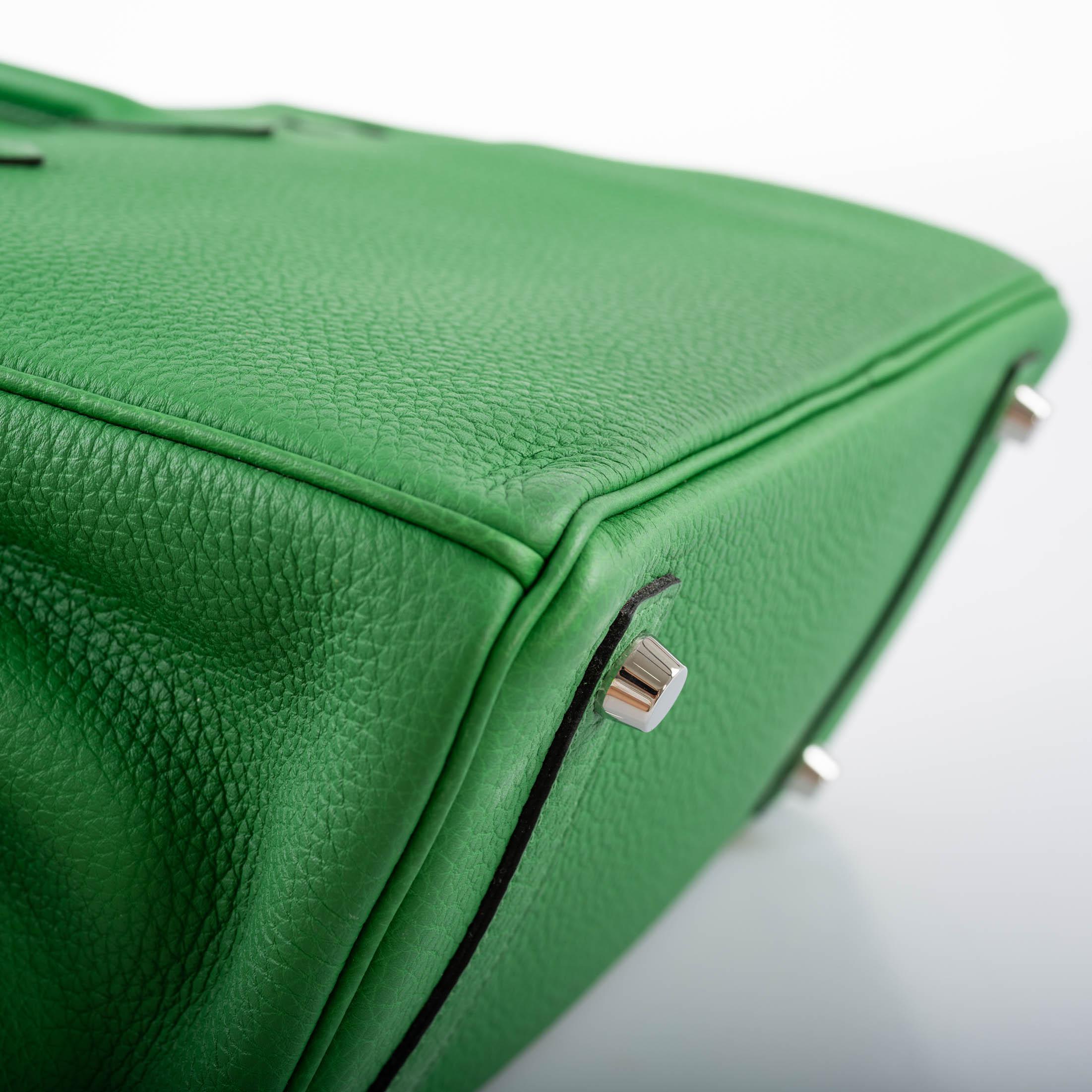 Hermès Birkin 25 Bambou (Bamboo) Green Togo with Palladium Hardware