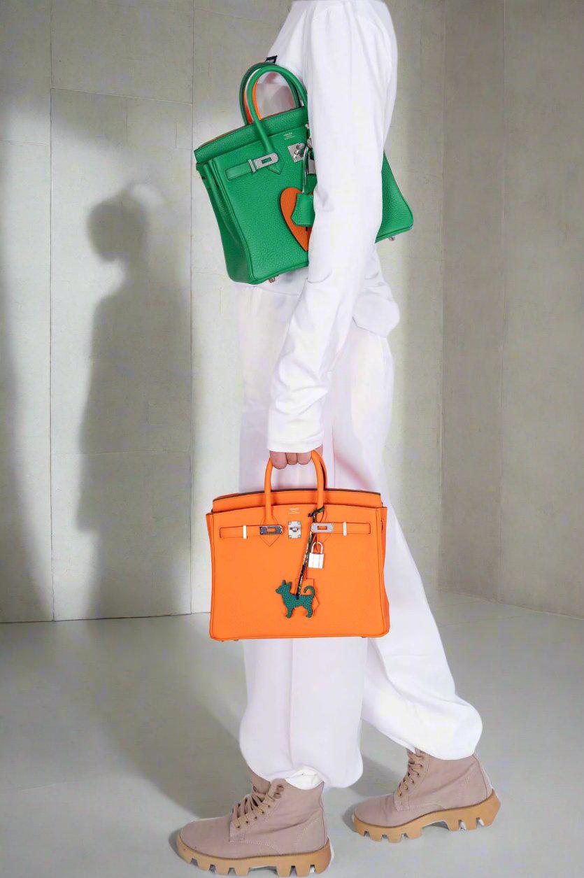 Hermès Birkin 25 Bambou Togo Palladium Hardware