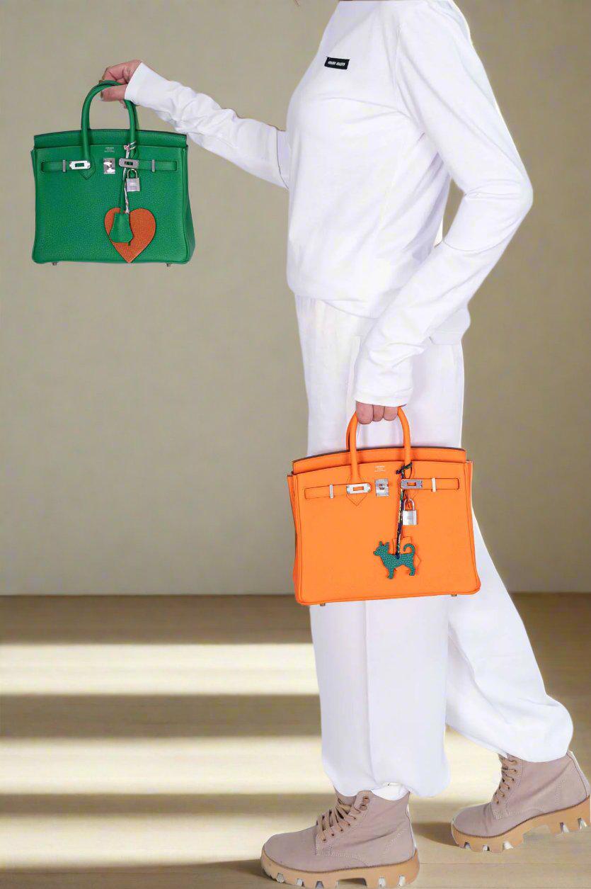 Hermès Birkin 25 Bambou Togo Palladium Hardware