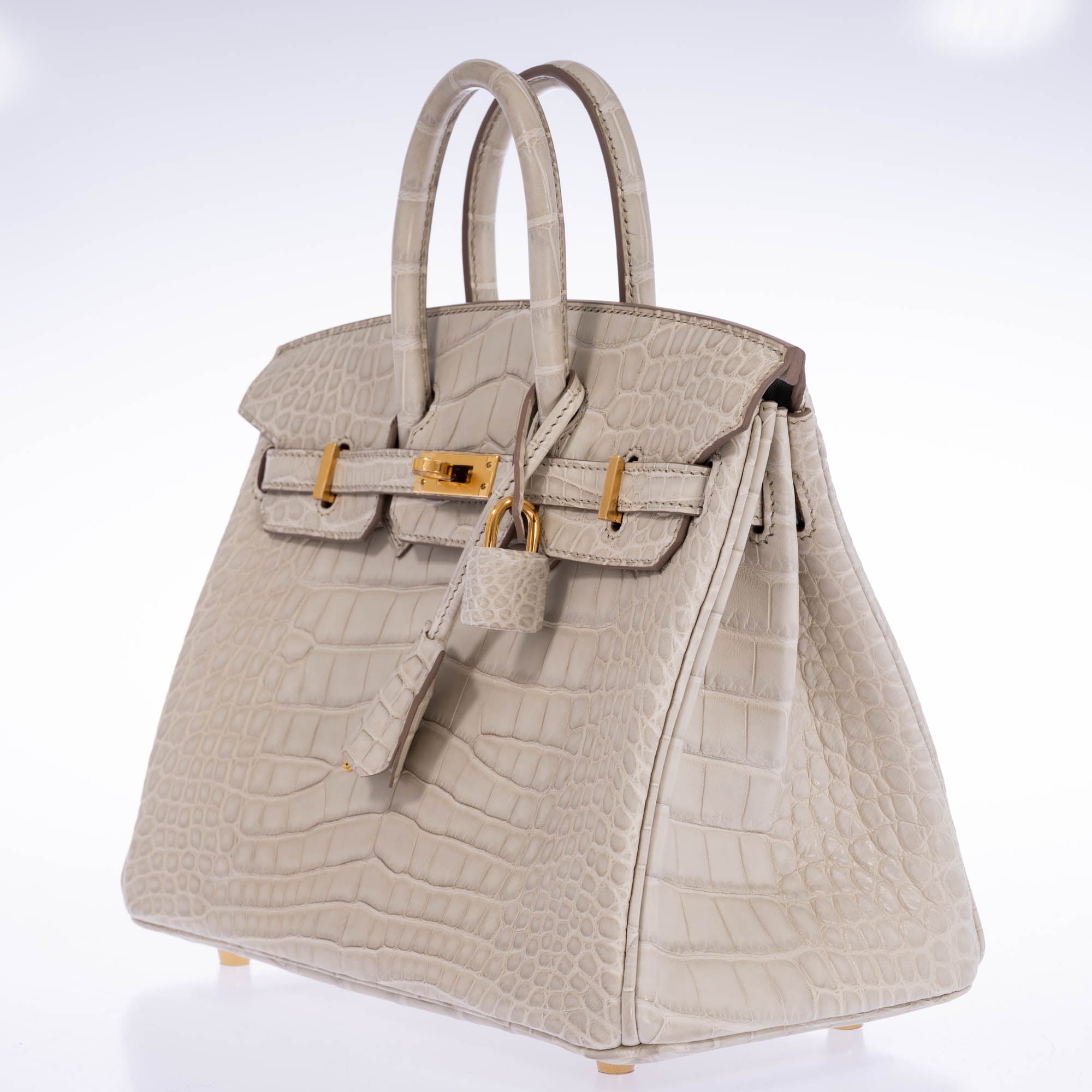 Hermès Birkin 25 Beton Matte Alligator Gold Hardware | JANEFINDS