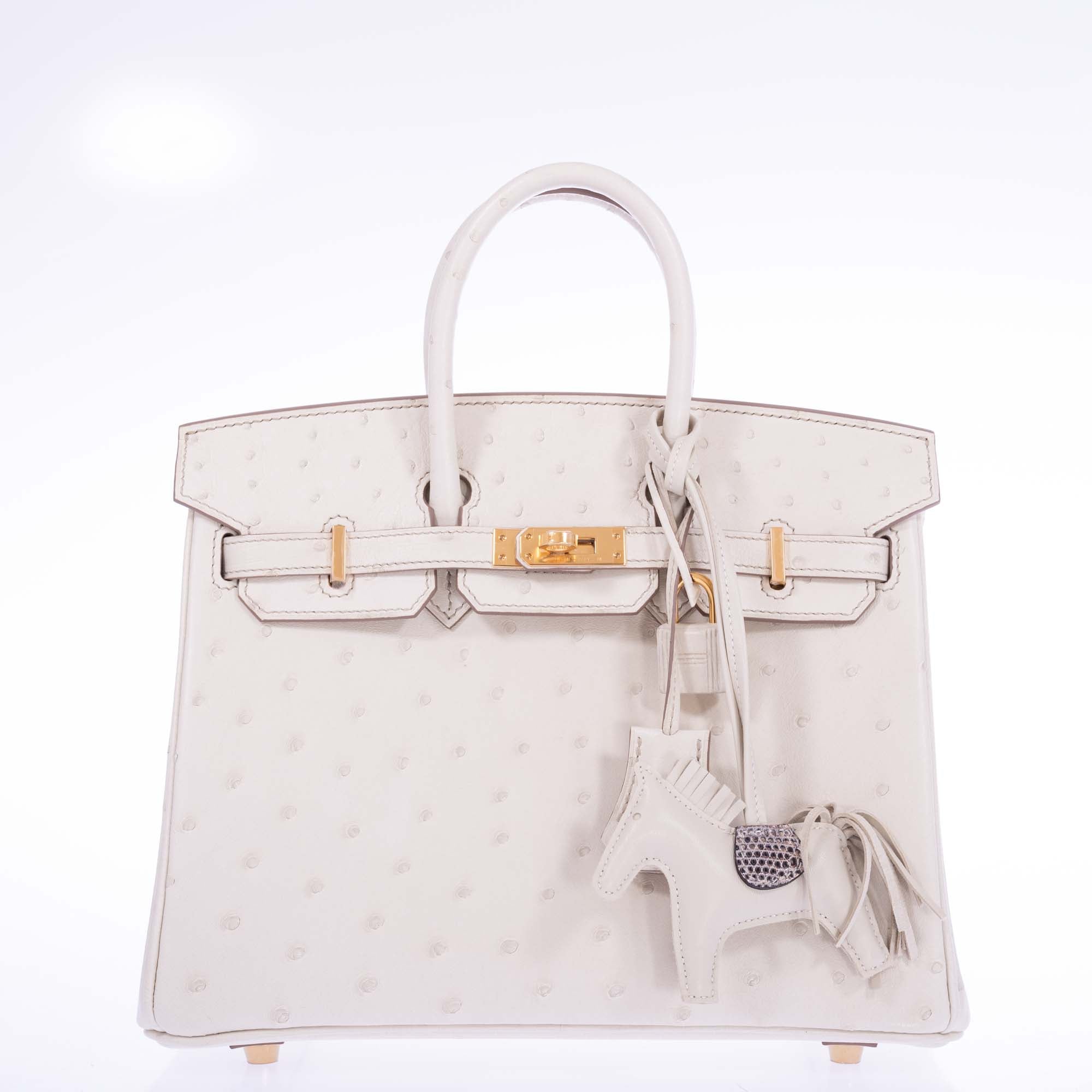 Hermès Birkin 25 Beton Ostrich Gold Hardware