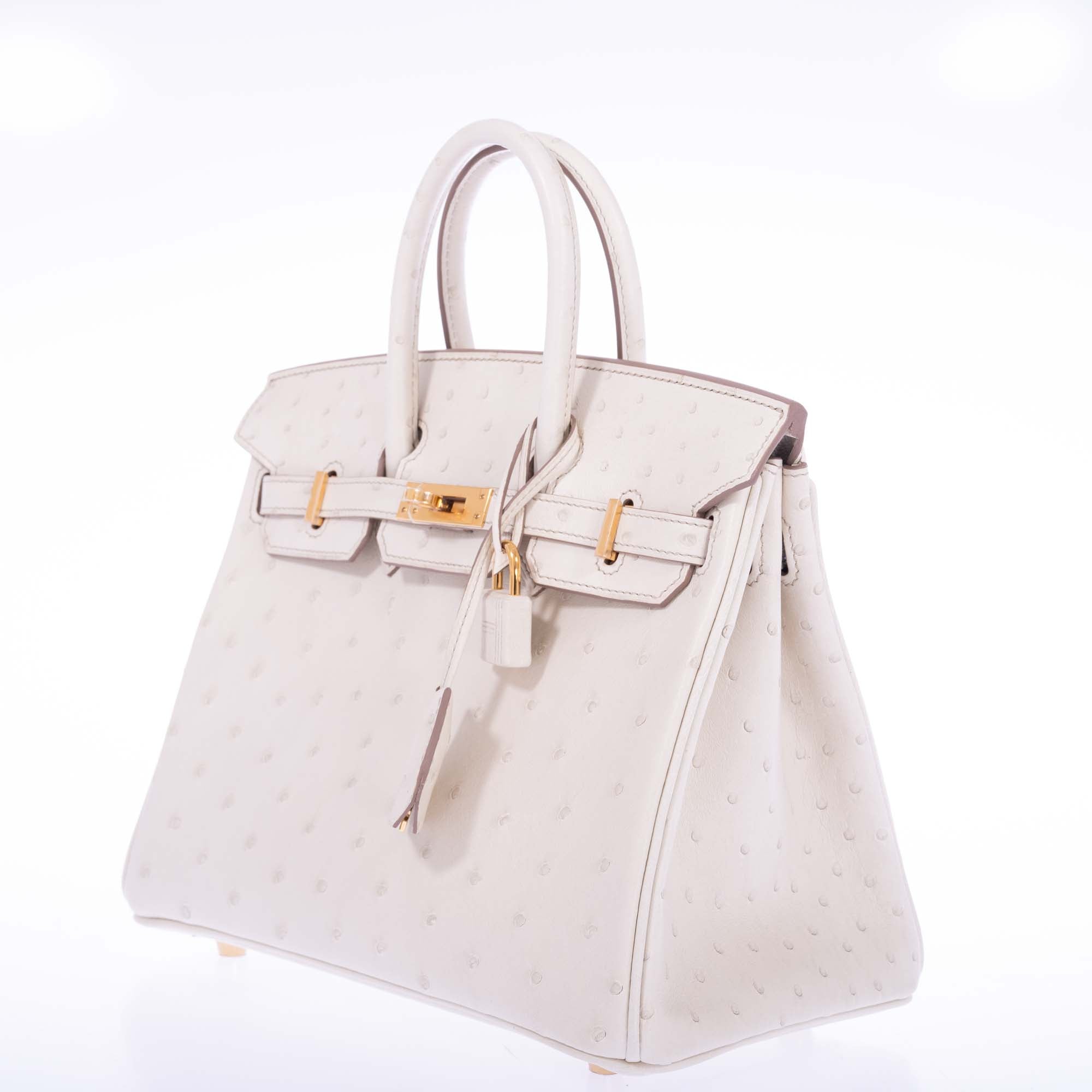 Hermès Birkin 25 Beton Ostrich Gold Hardware