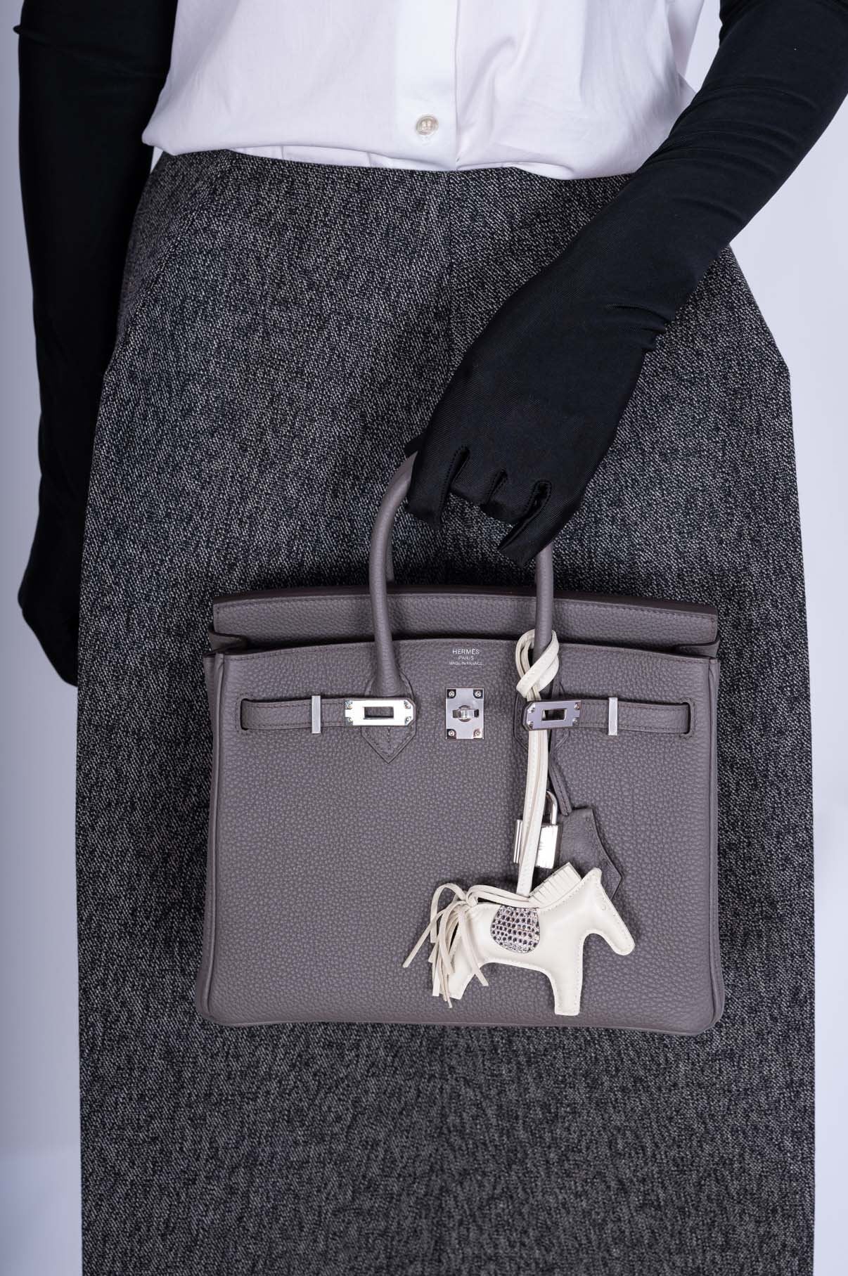 Hermès Birkin 25 Étain Togo Palladium Hardware