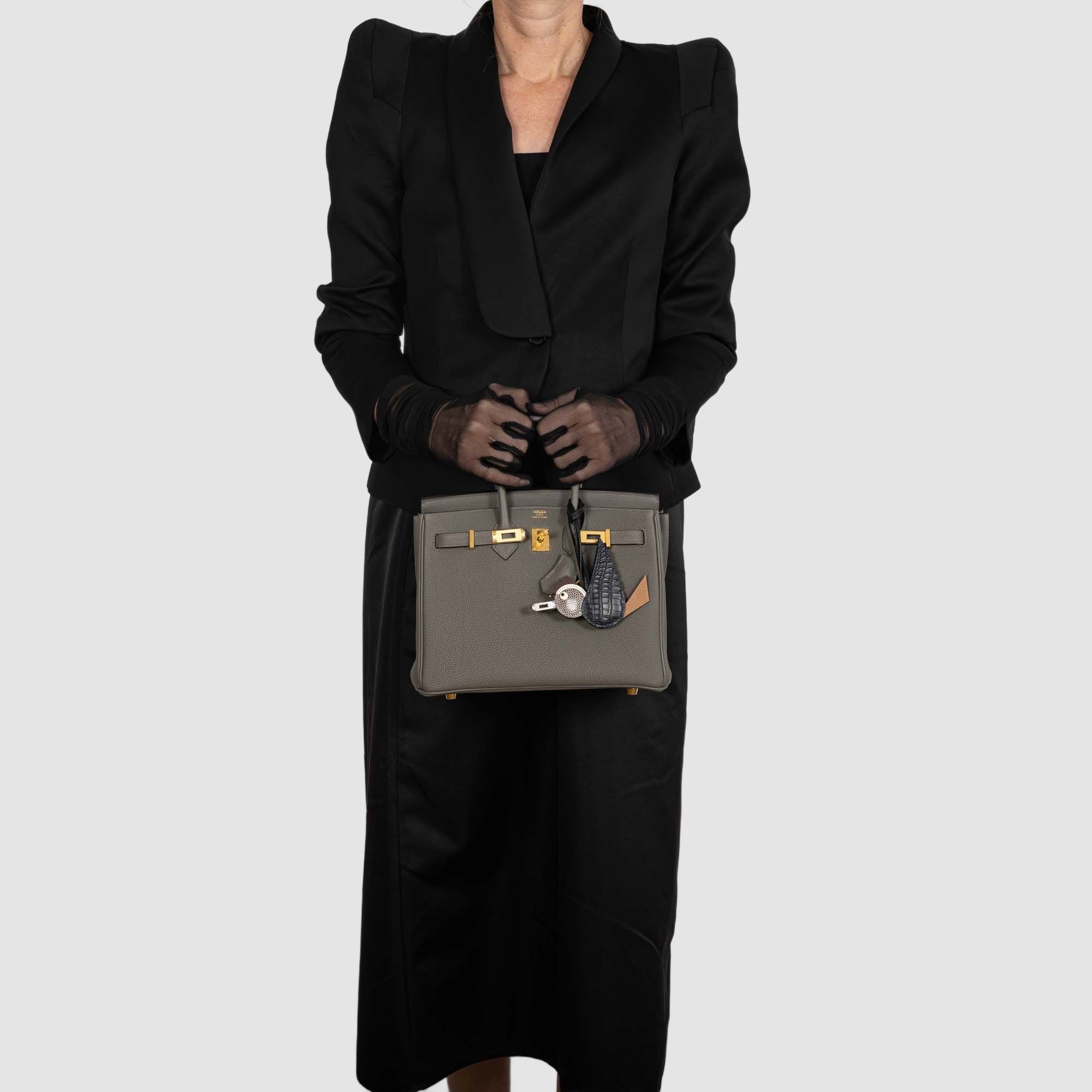 Hermès Birkin 25 Étain Togo Gold Hardware, rear view