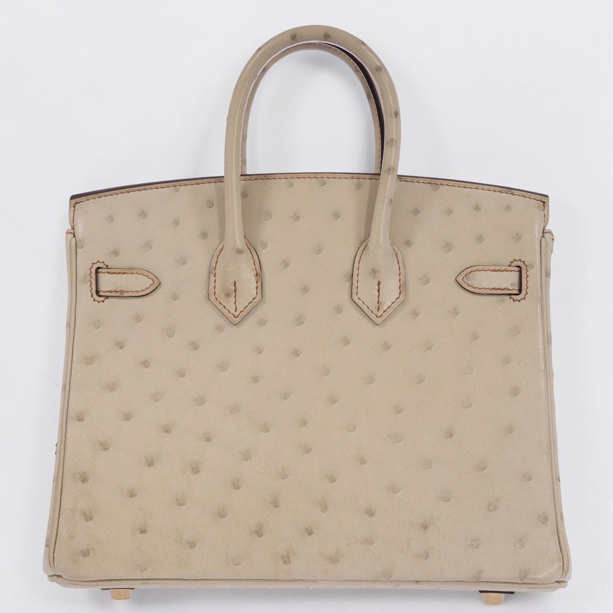 Hermès Birkin 25 HSS Nata Ostrich, rear view