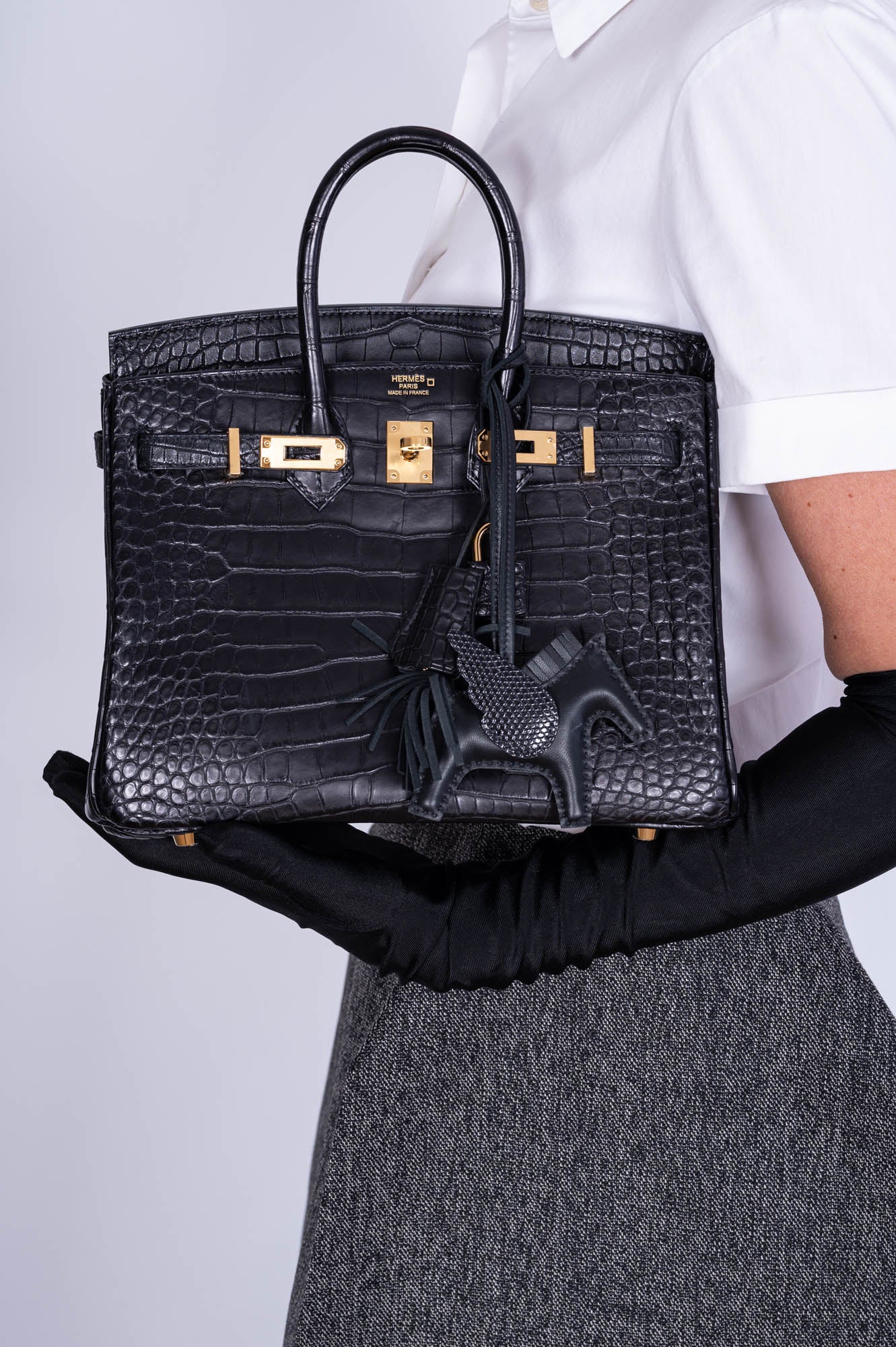 Hermès Birkin 25 Noir Matte Alligator Gold Hardware