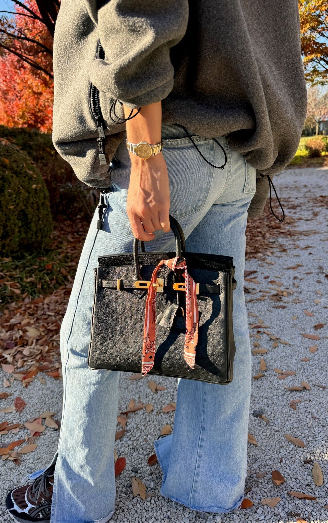 Hermès Birkin 25 Noir Ostrich Gold Hardware