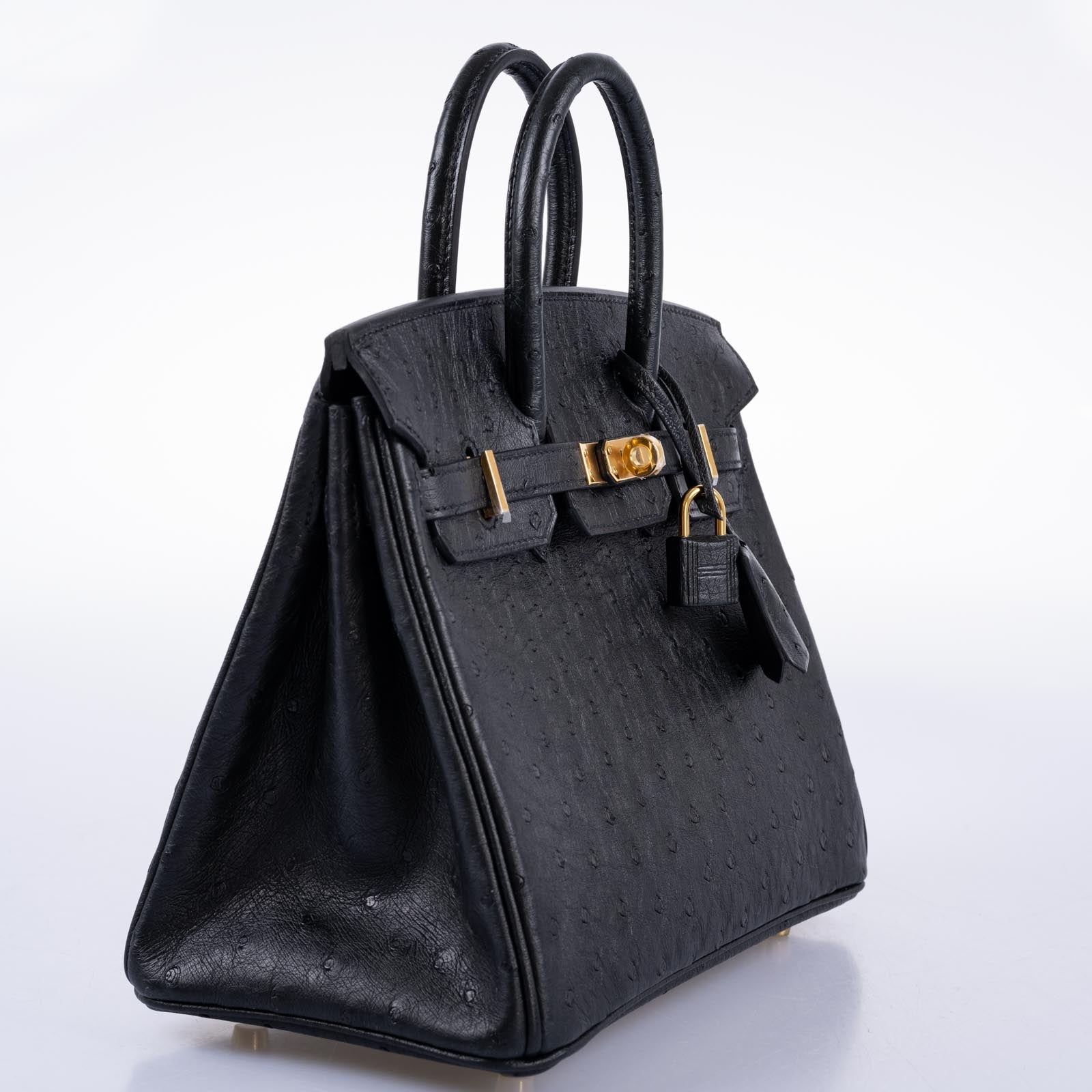 Hermès Birkin 25 Noir Ostrich Gold Hardware