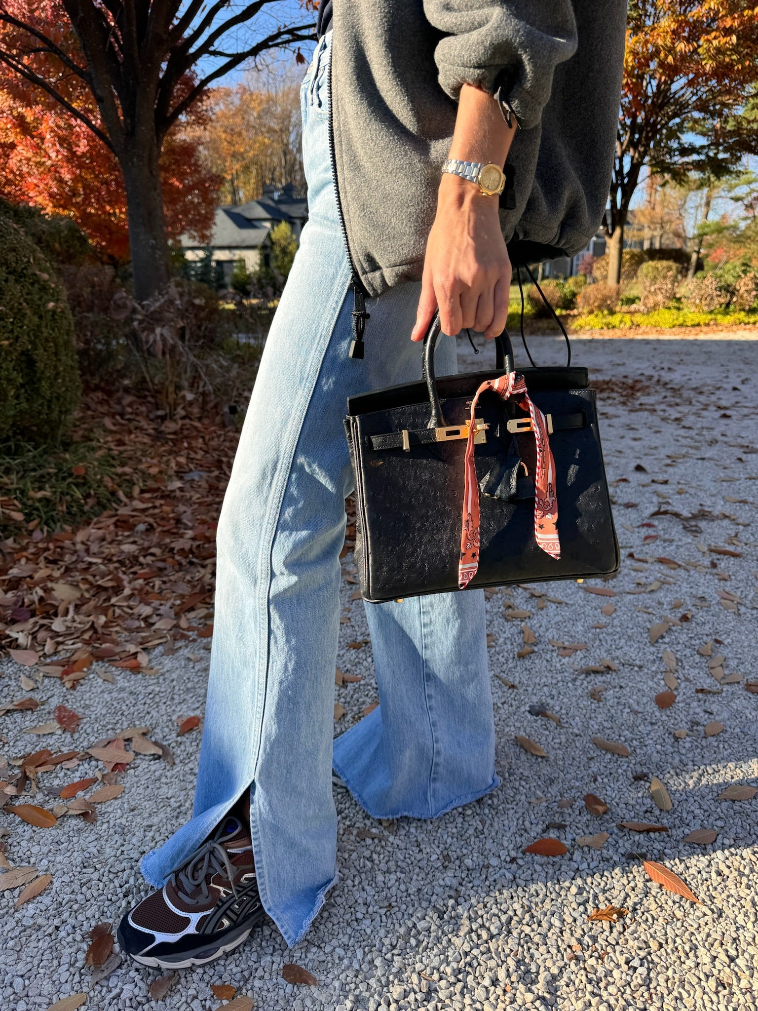 Hermès Birkin 25 Noir Ostrich Gold Hardware