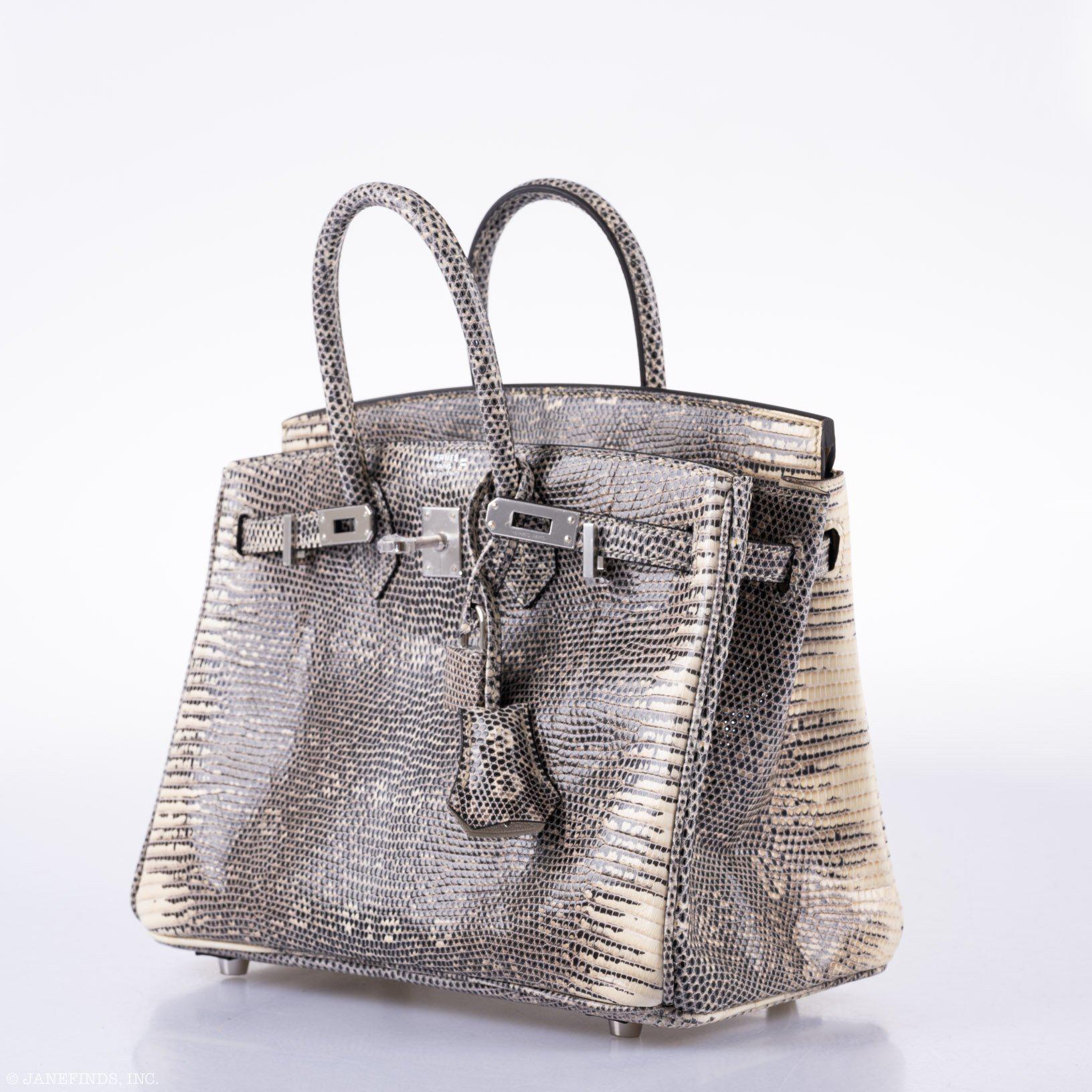 Hermès Birkin 25 Ombré Lizard Palladium Hardware