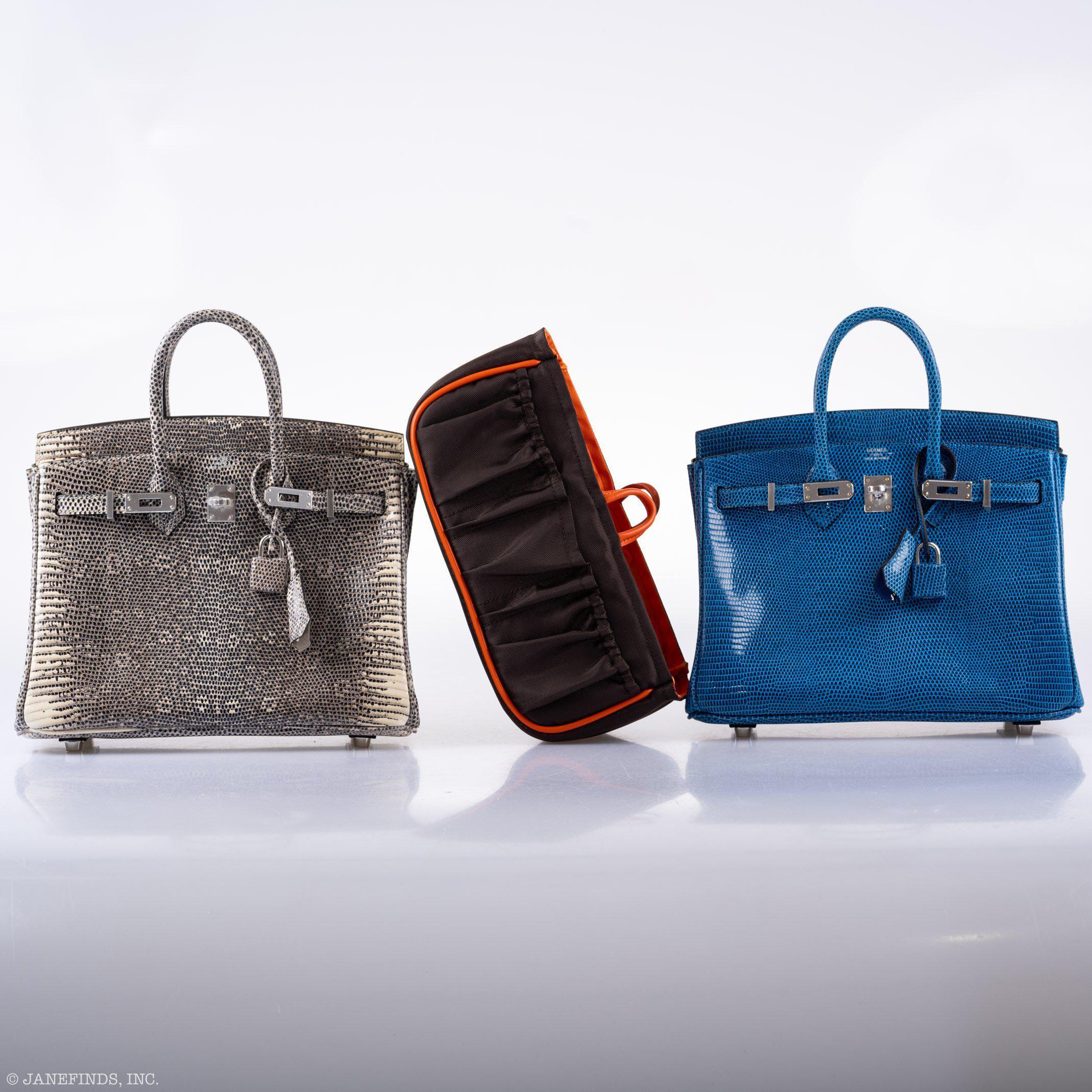 Hermès Birkin 25 Ombré Lizard Palladium Hardware