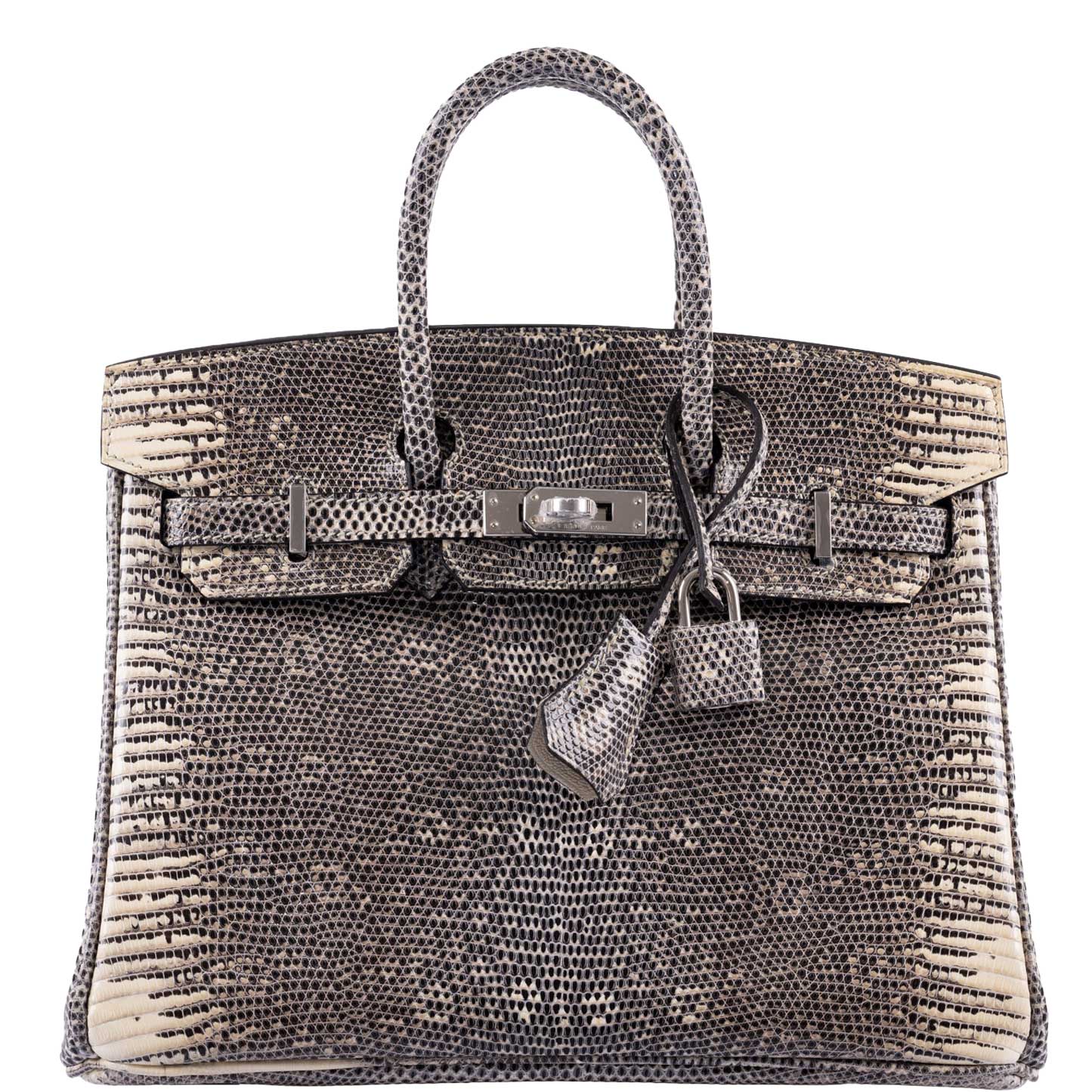 Hermès Birkin 25 Ombré Lizard Palladium Hardware