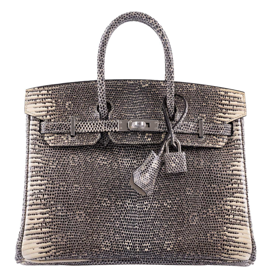 Hermès Birkin 25 Ombré Lizard Palladium Hardware