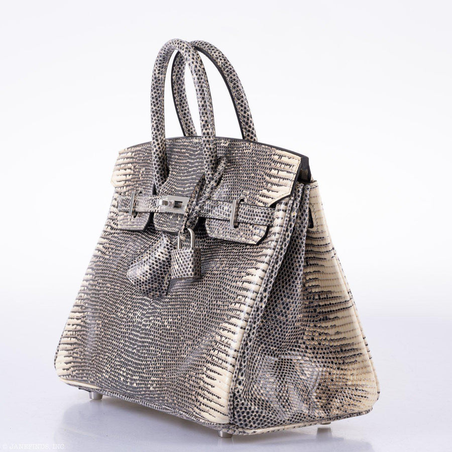 Hermès Birkin 25 Ombré Lizard Palladium Hardware