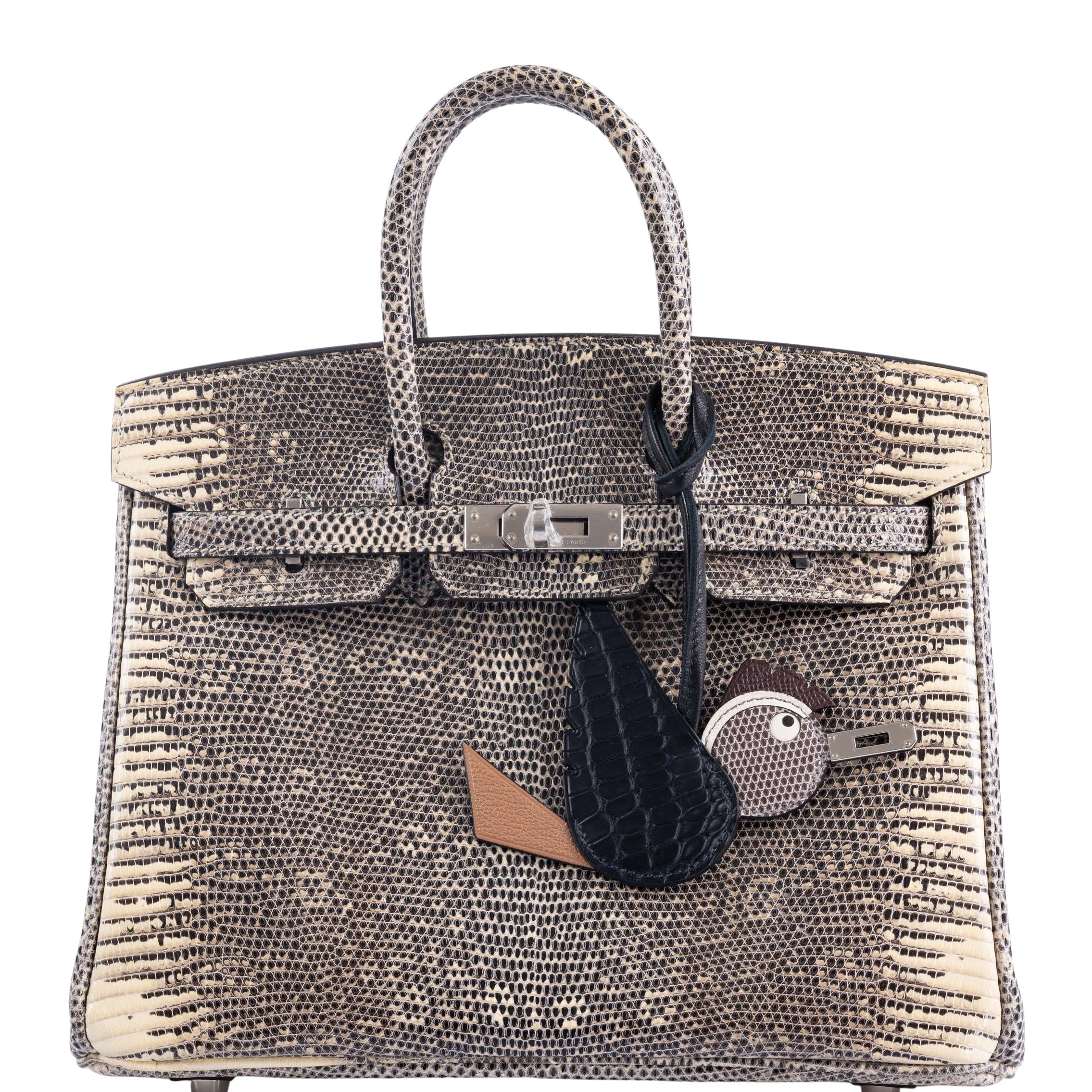 Hermès Birkin 25 Ombré Lizard Palladium Hardware