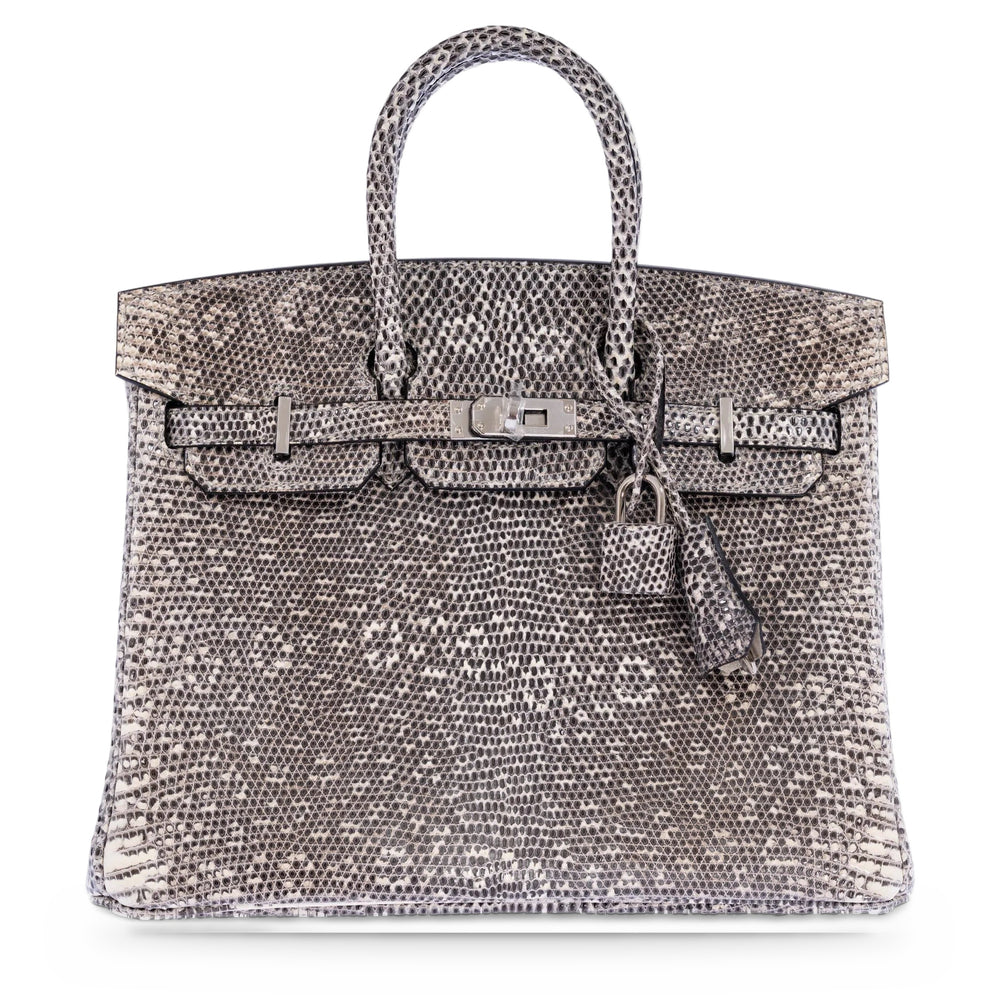 Hermès Birkin 25 Ombré Salvator Lizard Palladium Hardware, front view