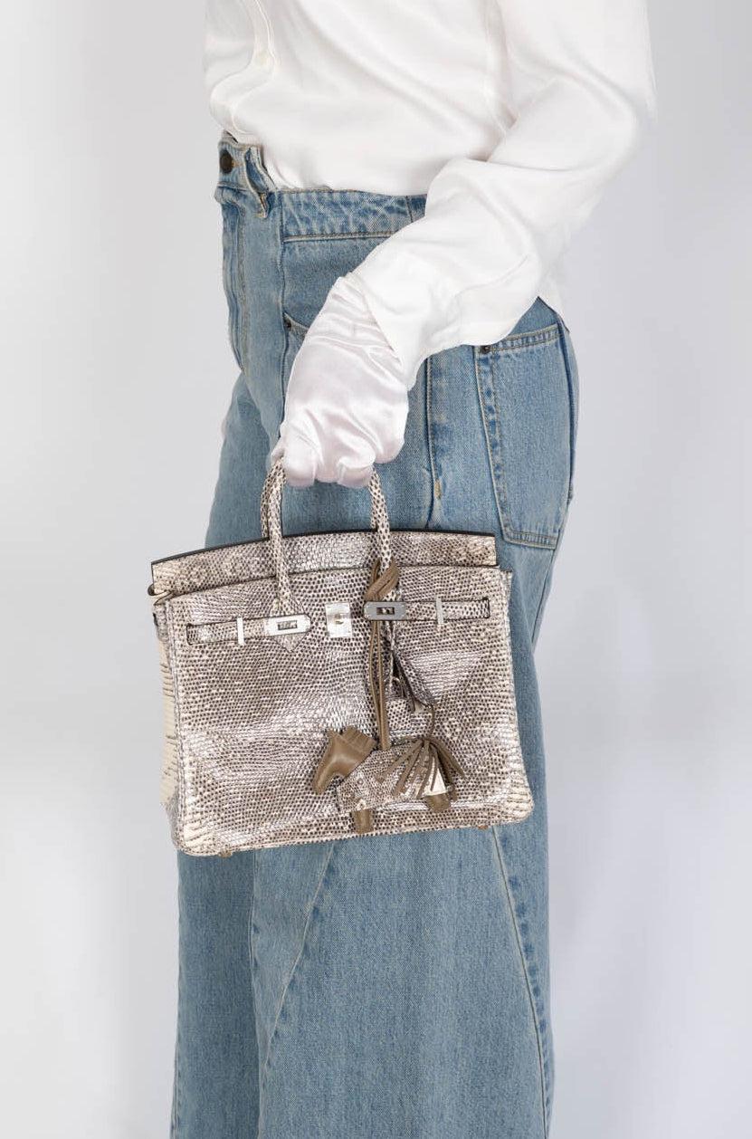 Hermès Birkin 25 Ombré Salvator Lizard Palladium Hardware