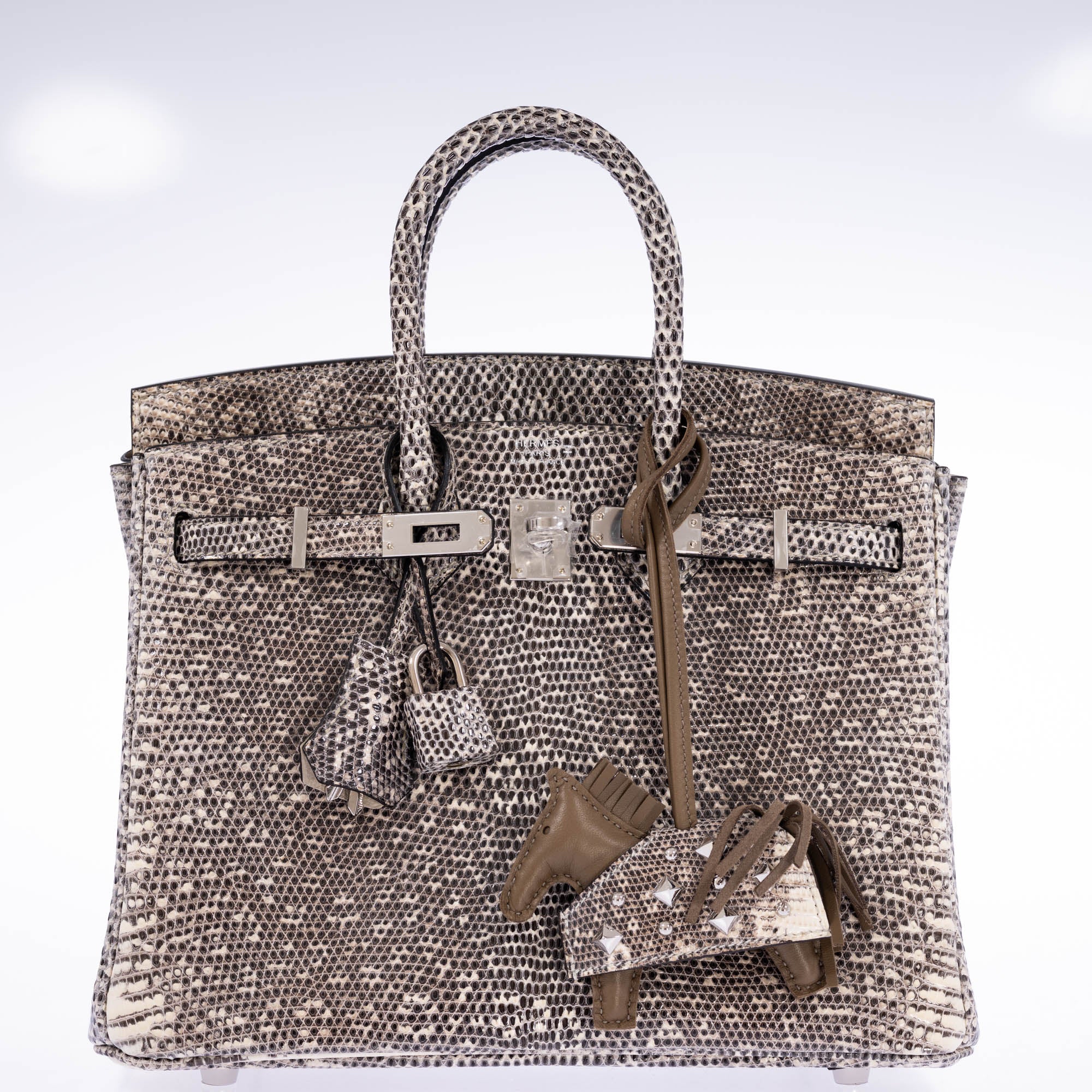 Hermès Birkin 25 Ombré Salvator Lizard Palladium Hardware | JANEFINDS