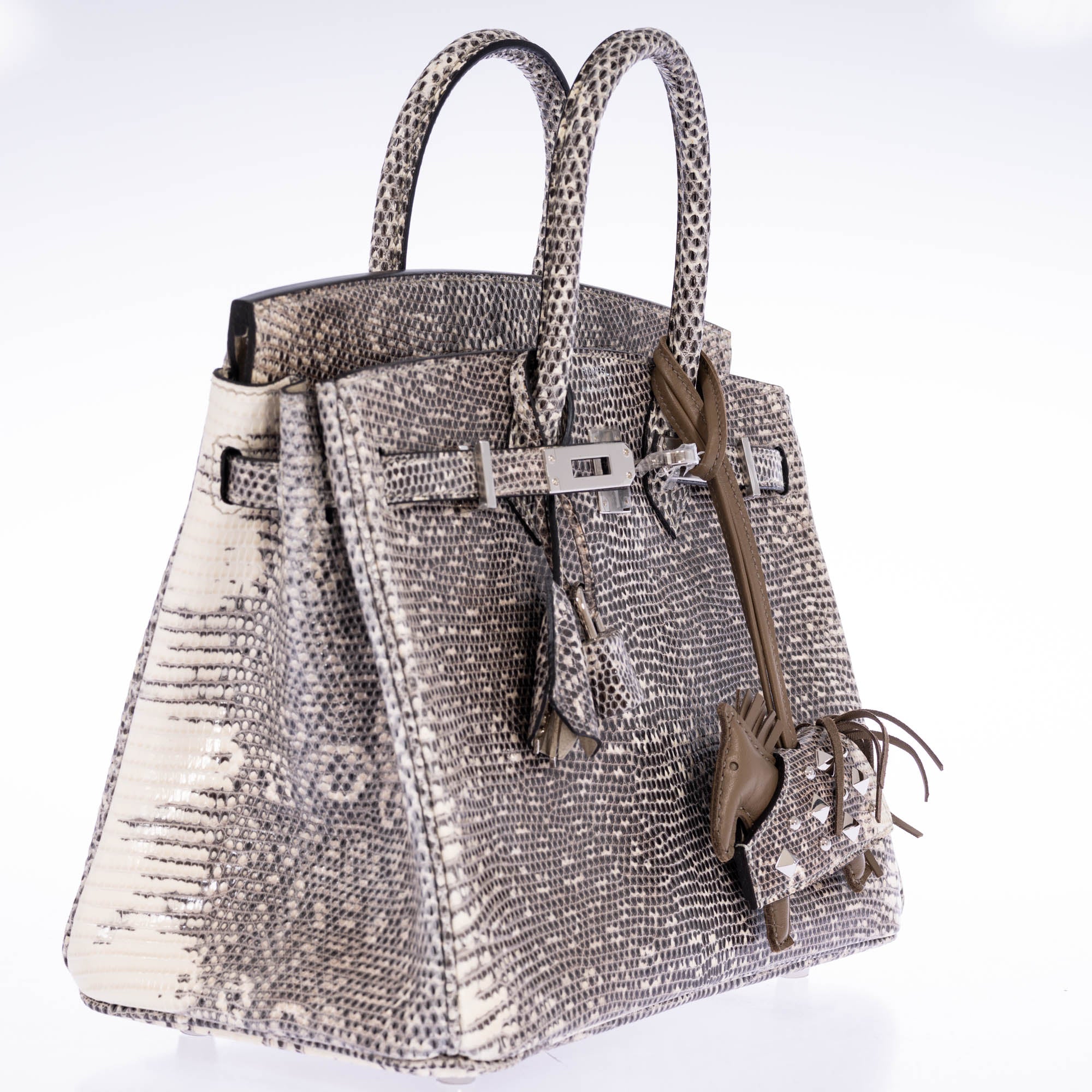 Hermès Birkin 25 Ombré Salvator Lizard Palladium Hardware | JANEFINDS