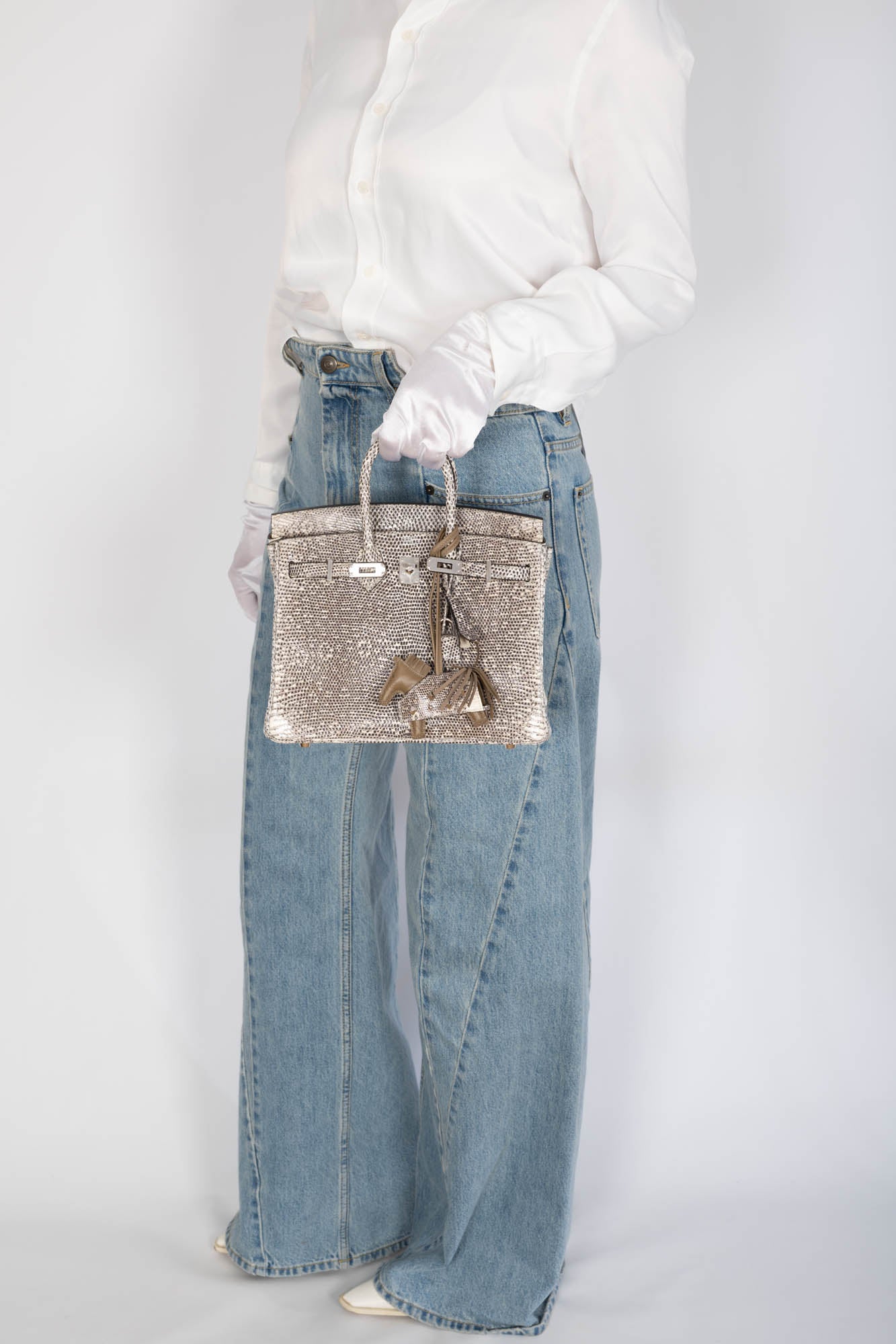 Hermès Birkin 25 Ombré Salvator Lizard Palladium Hardware
