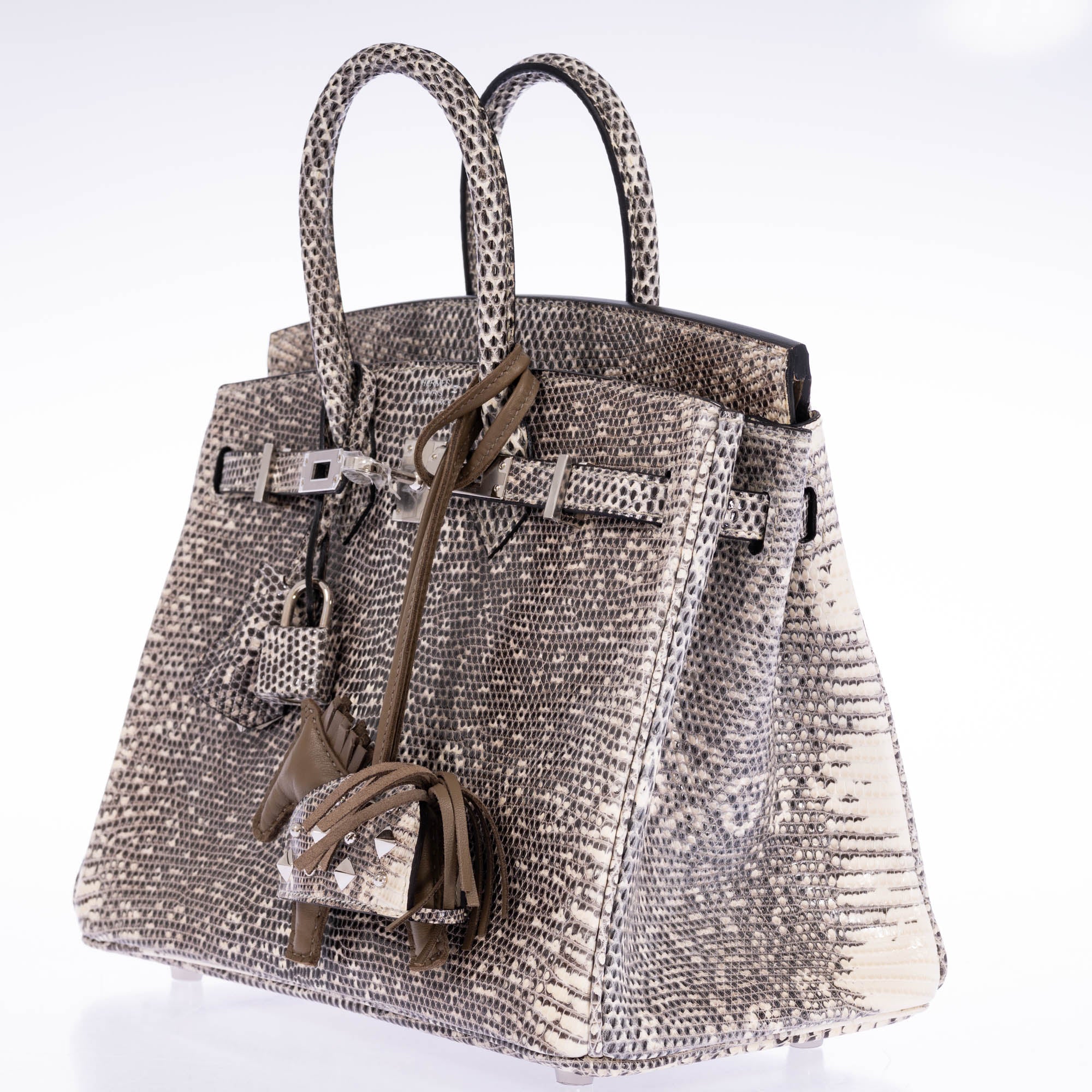 Hermès Birkin 25 Ombré Salvator Lizard Palladium Hardware – JANEFINDS