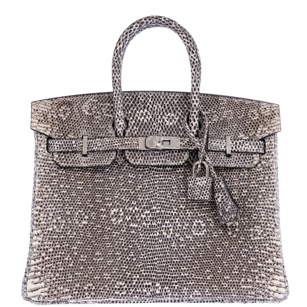 Hermès Birkin 25 Ombré Salvator Lizard Palladium Hardware