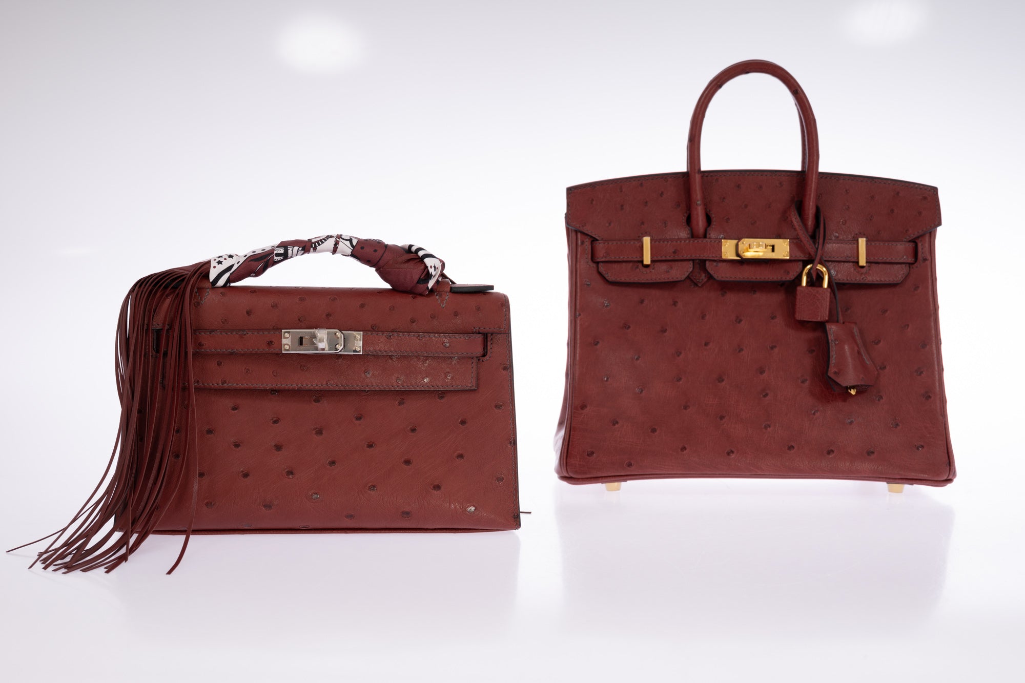 Hermès Birkin 25 Rouge H Ostrich Retourné Gold Hardware