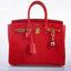 Hermès Birkin 25 Rouge Vif Salvator Lizard Gold Hardware