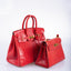 Hermès Birkin 25 Rouge Vif Salvator Lizard Gold Hardware