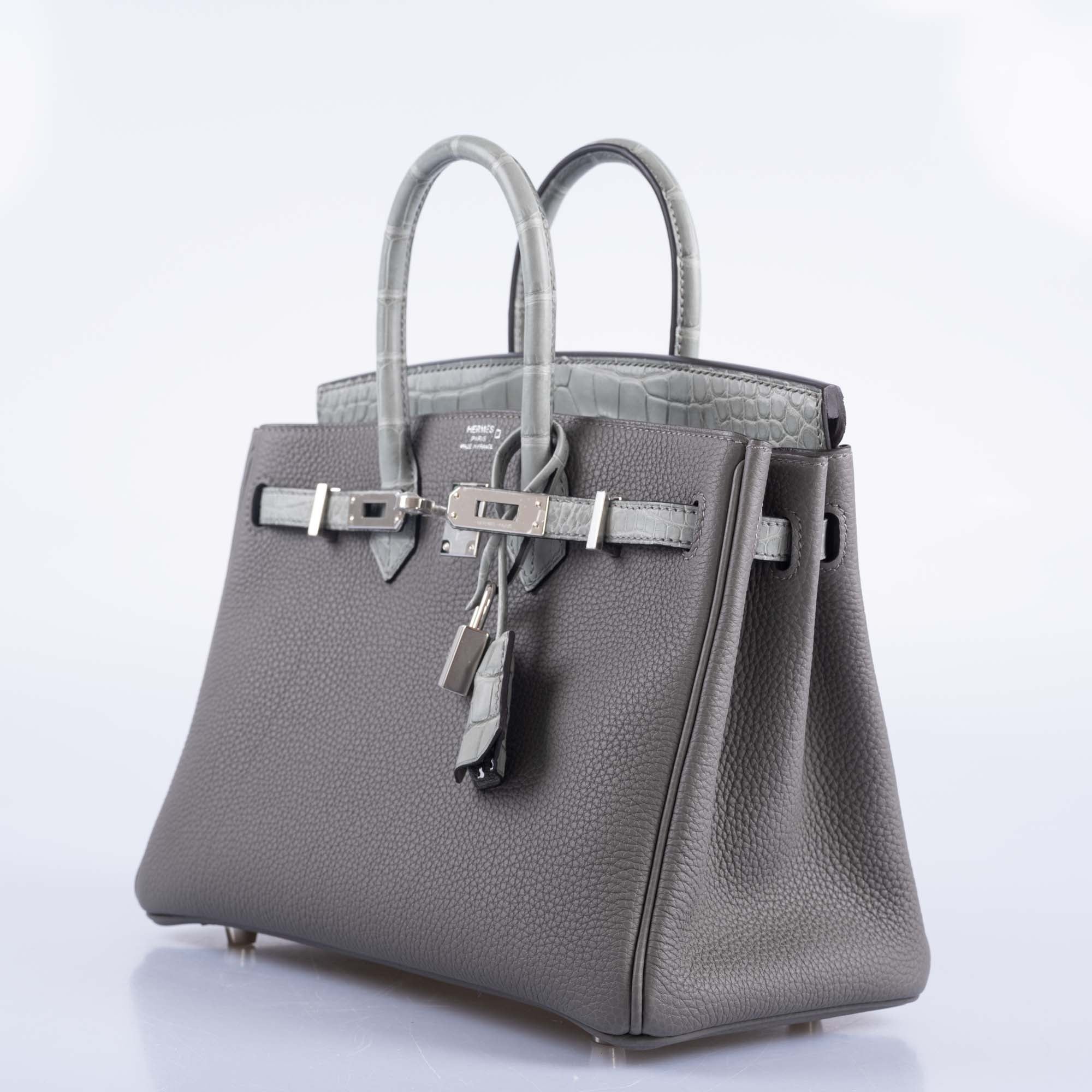 Hermès Birkin 25 Touch Gris Meyer Togo Gris Cement Matte Alligator