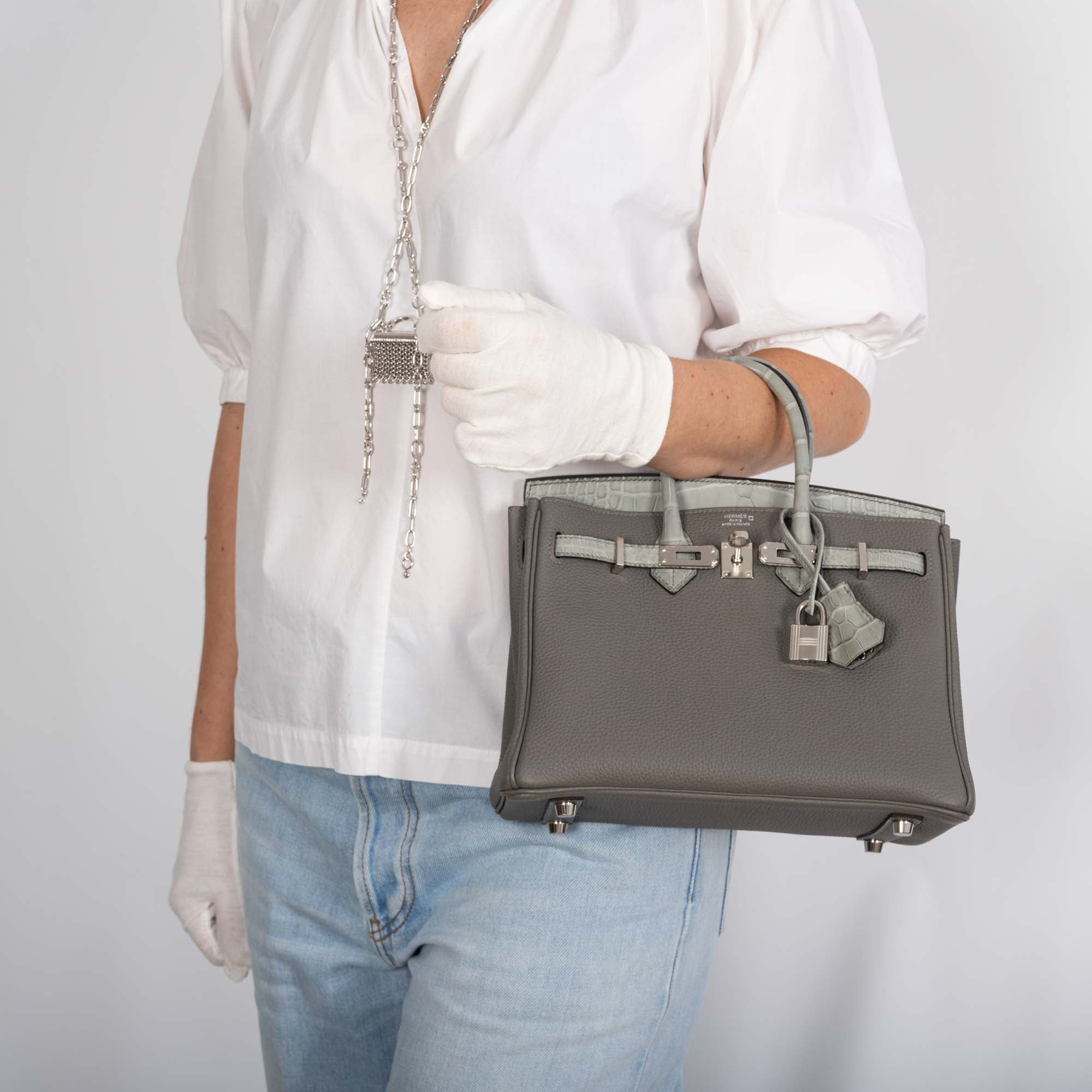 Hermès Birkin 25 Touch Gris Meyer Togo Gris Cement Matte Alligator