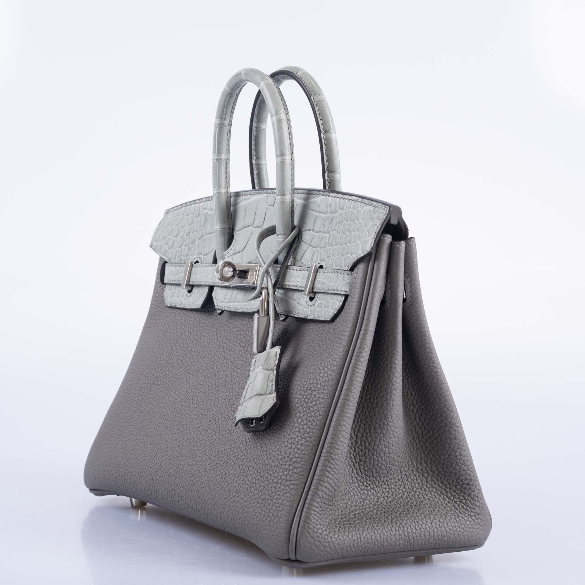Hermès Birkin 25 Touch Gris Meyer Togo Gris Cement Matte Alligator