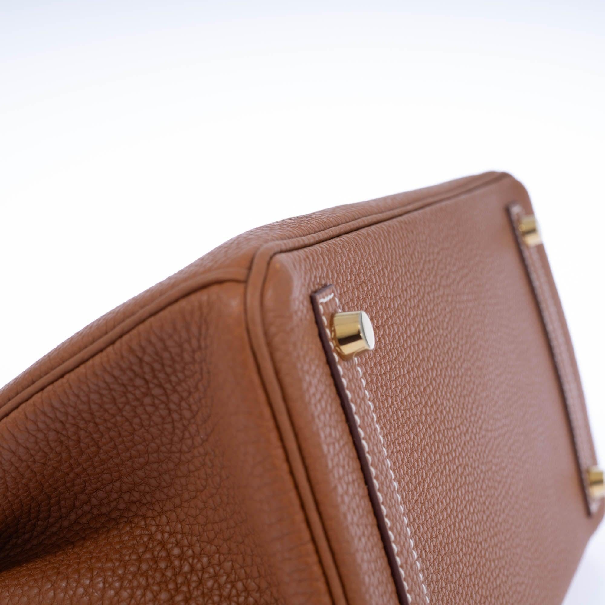Hermès Birkin 30 Gold Togo Gold Hardware