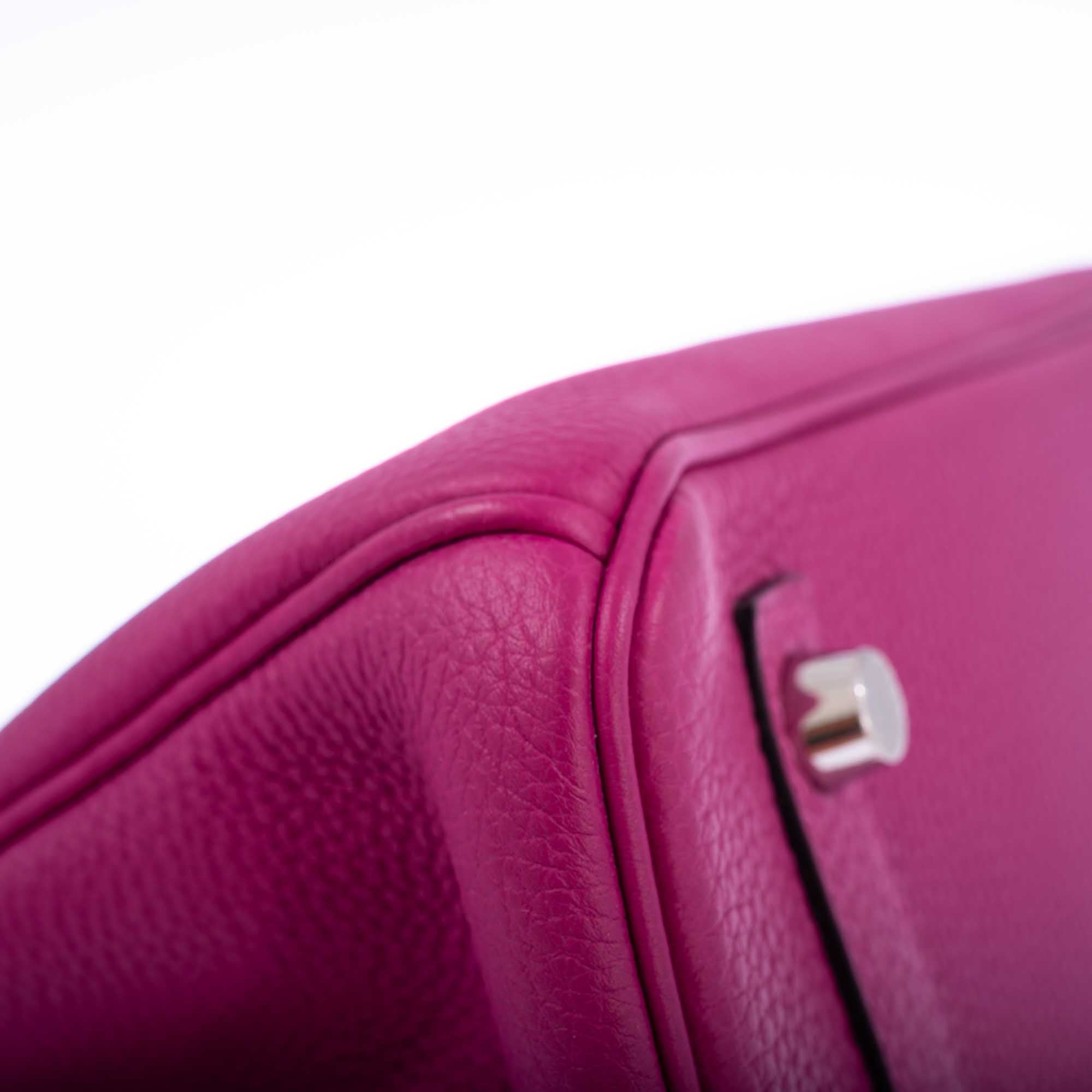 Hermès Birkin 30 Magnolia Togo Palladium Hardware