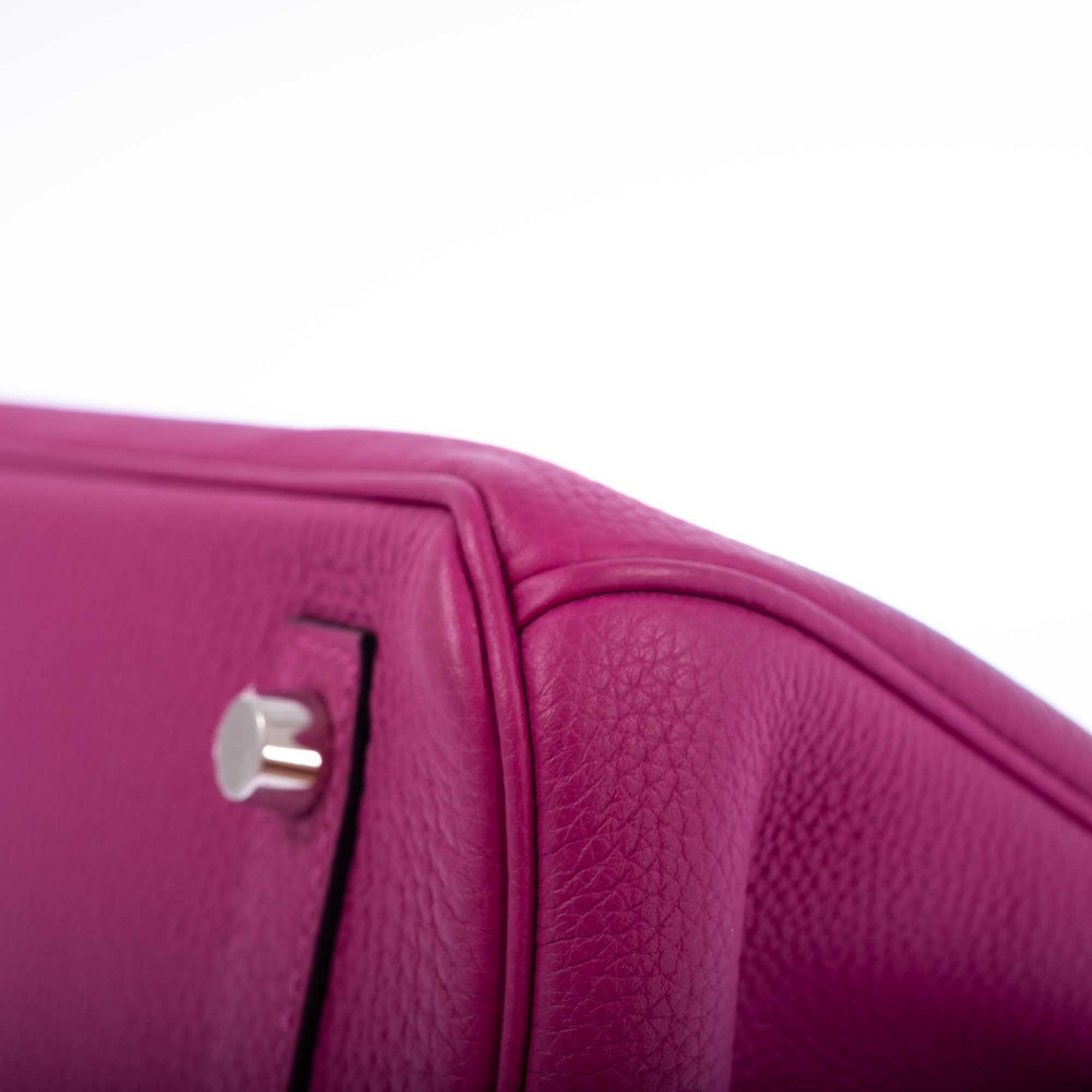 Hermès Birkin 30 Magnolia Togo Palladium Hardware