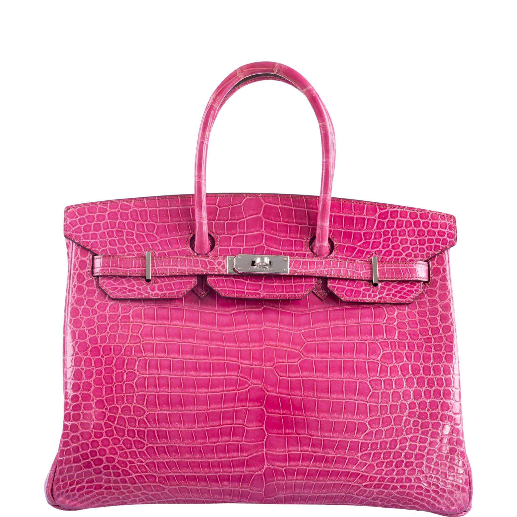 Hermes 2025 croco porosus