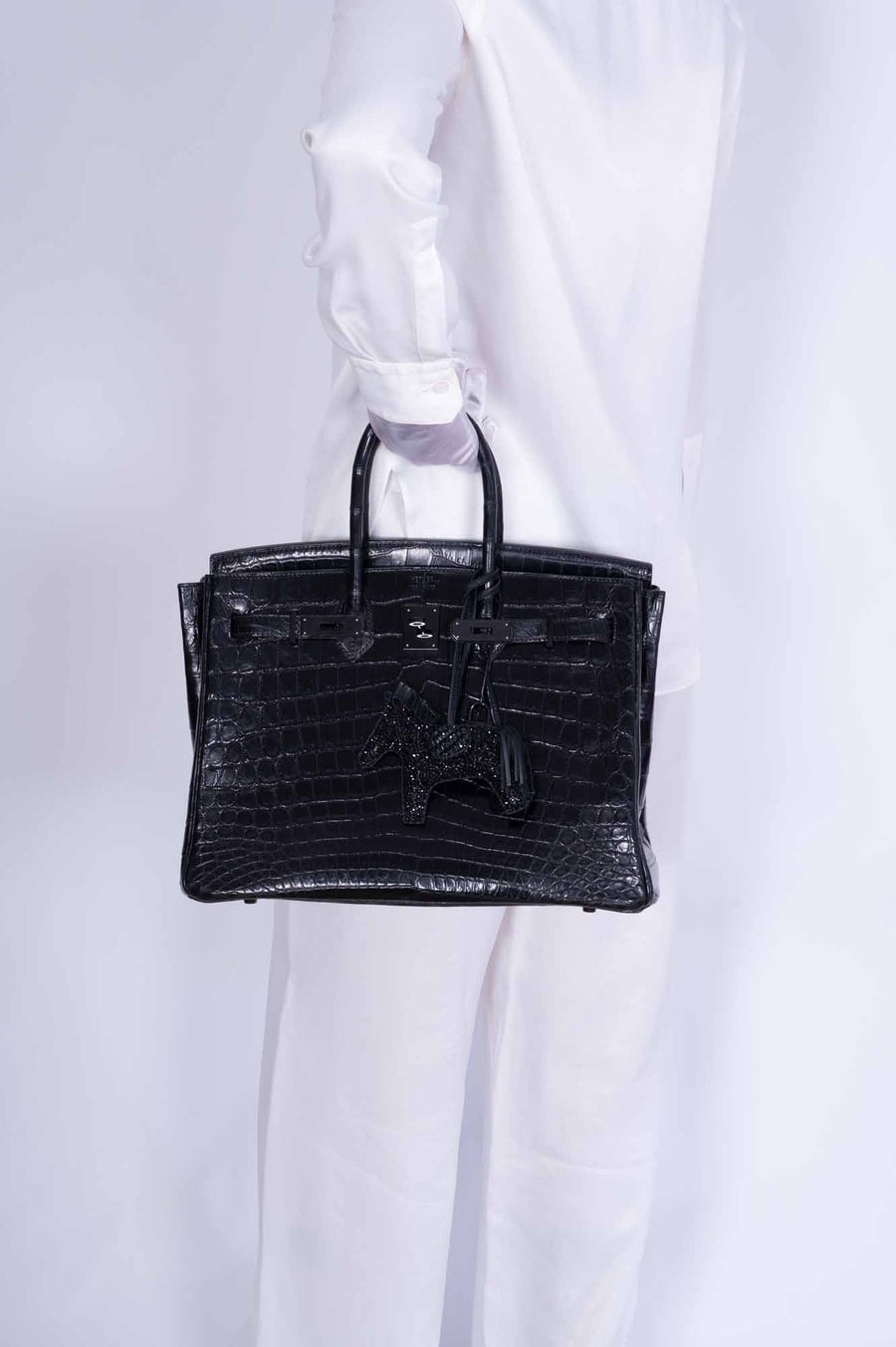 Hermès Birkin 35 SO BLACK Matte Niloticus Crocodile PVD Hardware