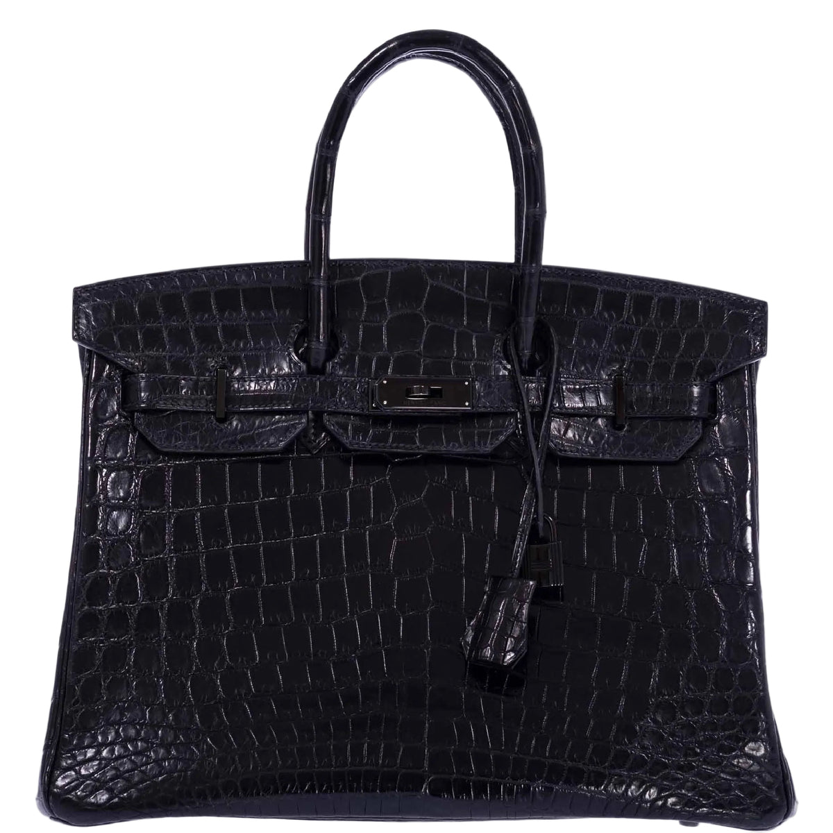 Hermès Birkin 35 SO BLACK Matte Niloticus Crocodile PVD Hardware