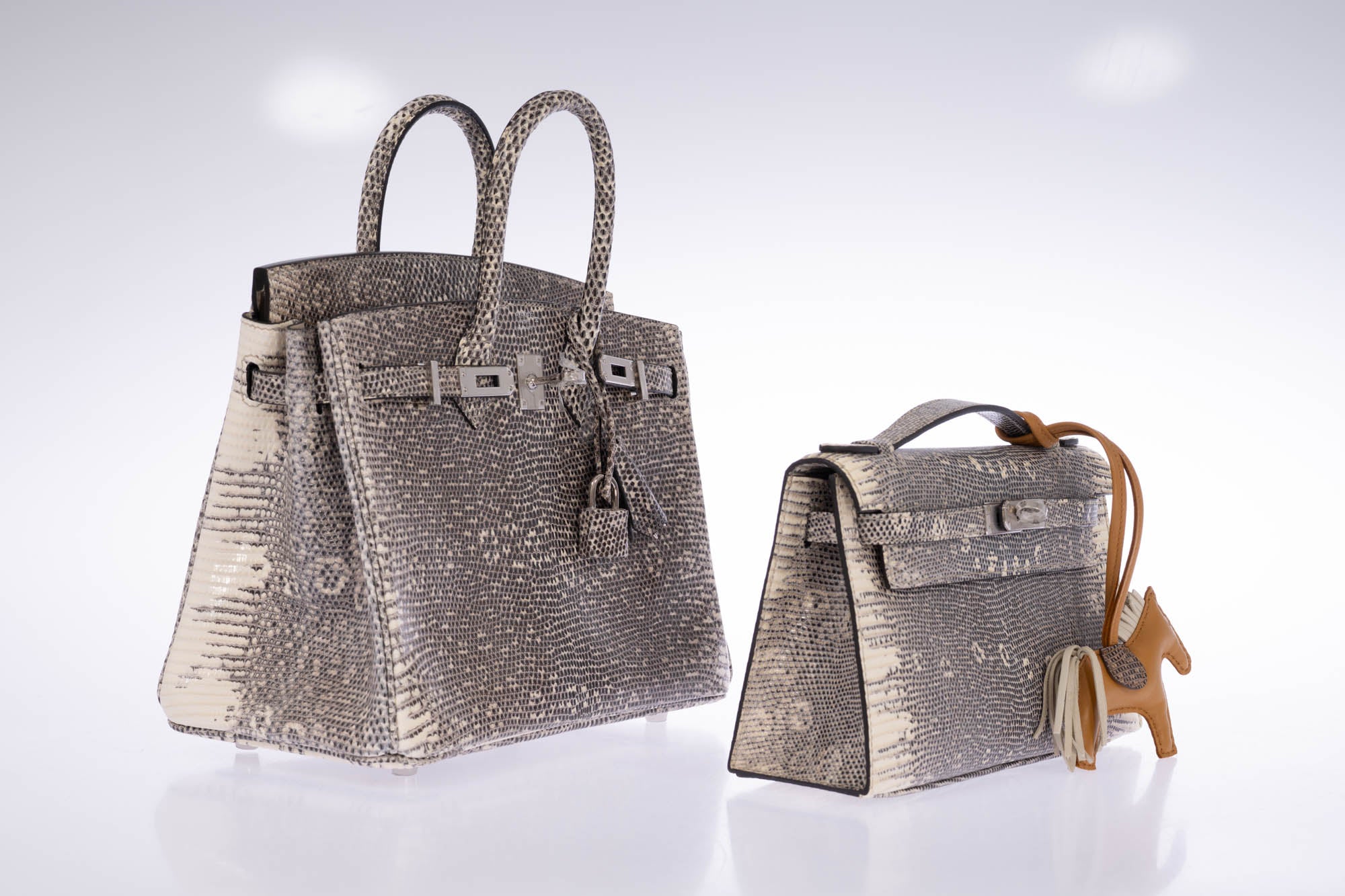 Hermès Kelly Pochette Rare Ombré Lizard Palladium Hardware