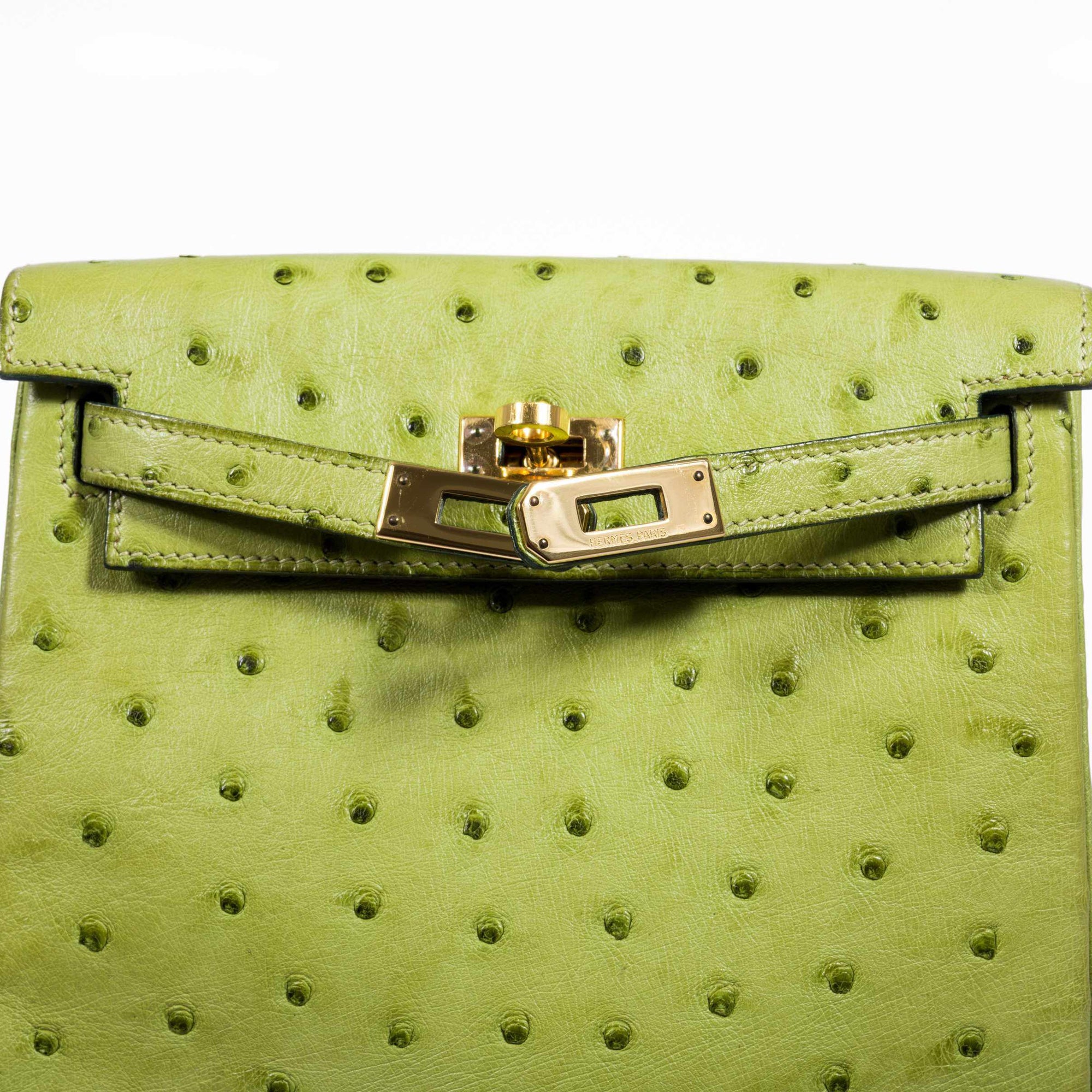 Hermès Kelly a Dos Backpack Vert Anis Ostrich Gold Hardware
