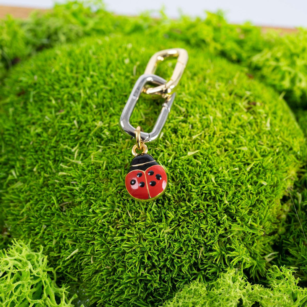 JF Lucky Ladybug Vintage