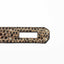 Hermès Birkin 25 Ombre Lizard Palladium Hardware - Rare