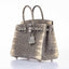 Hermès Birkin 25 Ombre Lizard Palladium Hardware - Very Rare