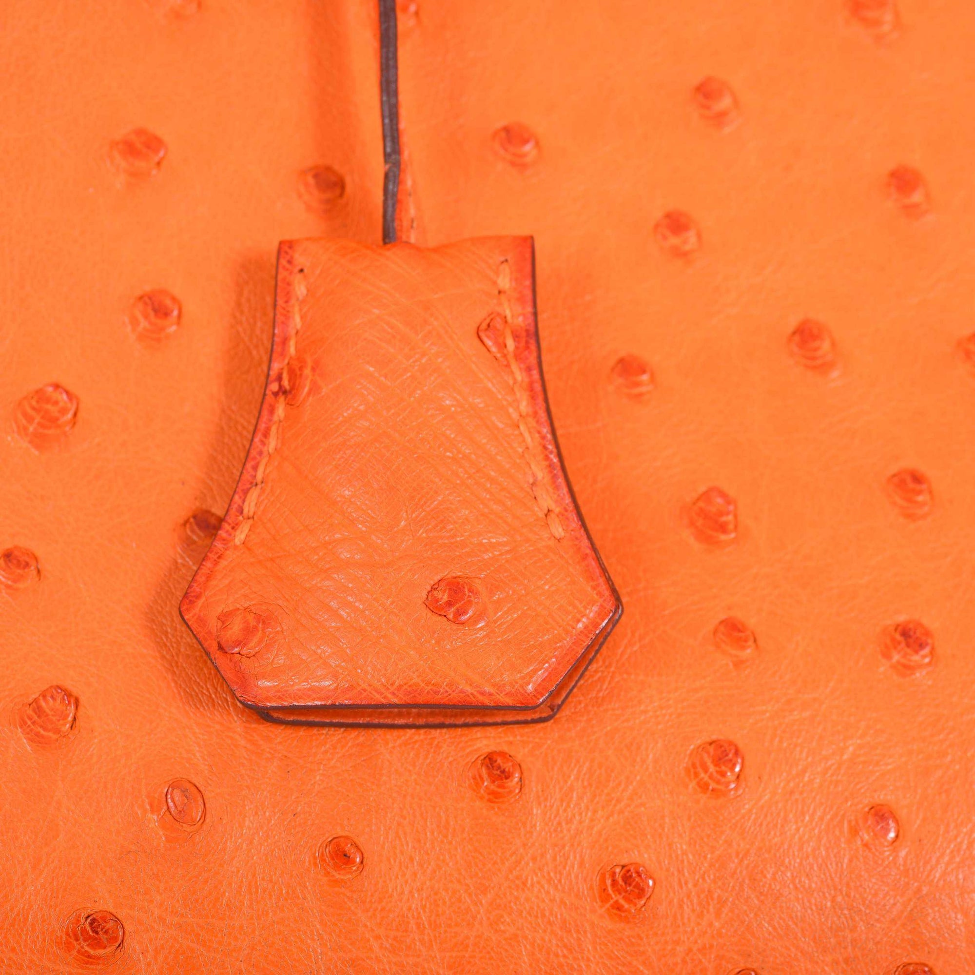 Hermès Birkin 25 Ostrich Tangerine Orange Palladium