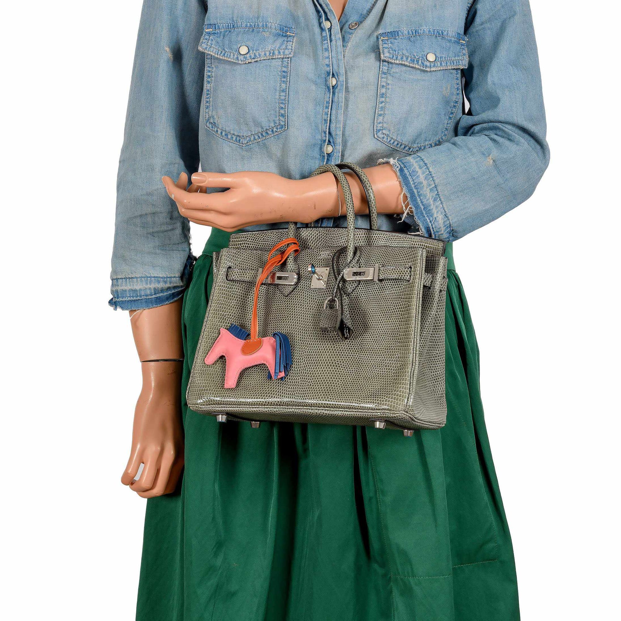Hermès Birkin 25 Vert De Gris Salvator Lizard Palladium Hardware