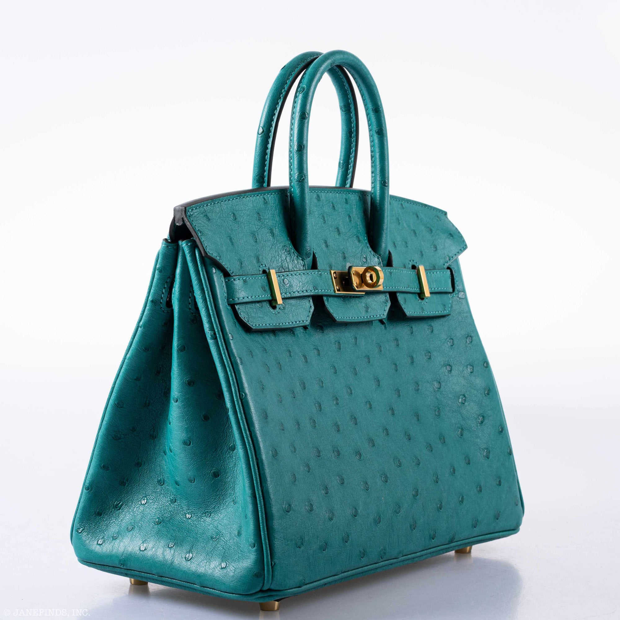 Hermès Birkin 25 Vert Verone Ostrich Gold Hardware
